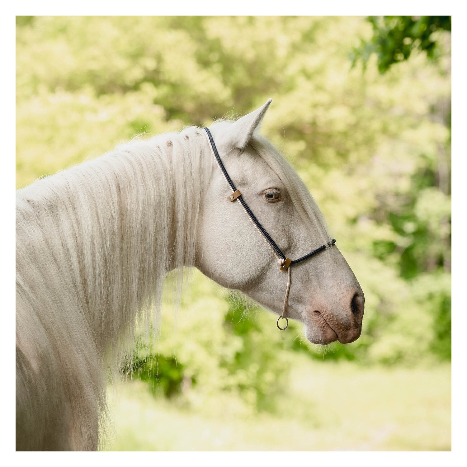 SUENO PETS 2 in 1 Halsring &ndash; Ansicht 3