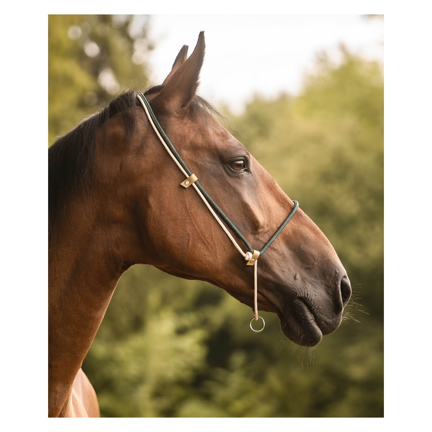 SUENO PETS 2 in 1 Halsring &ndash; Ansicht 2