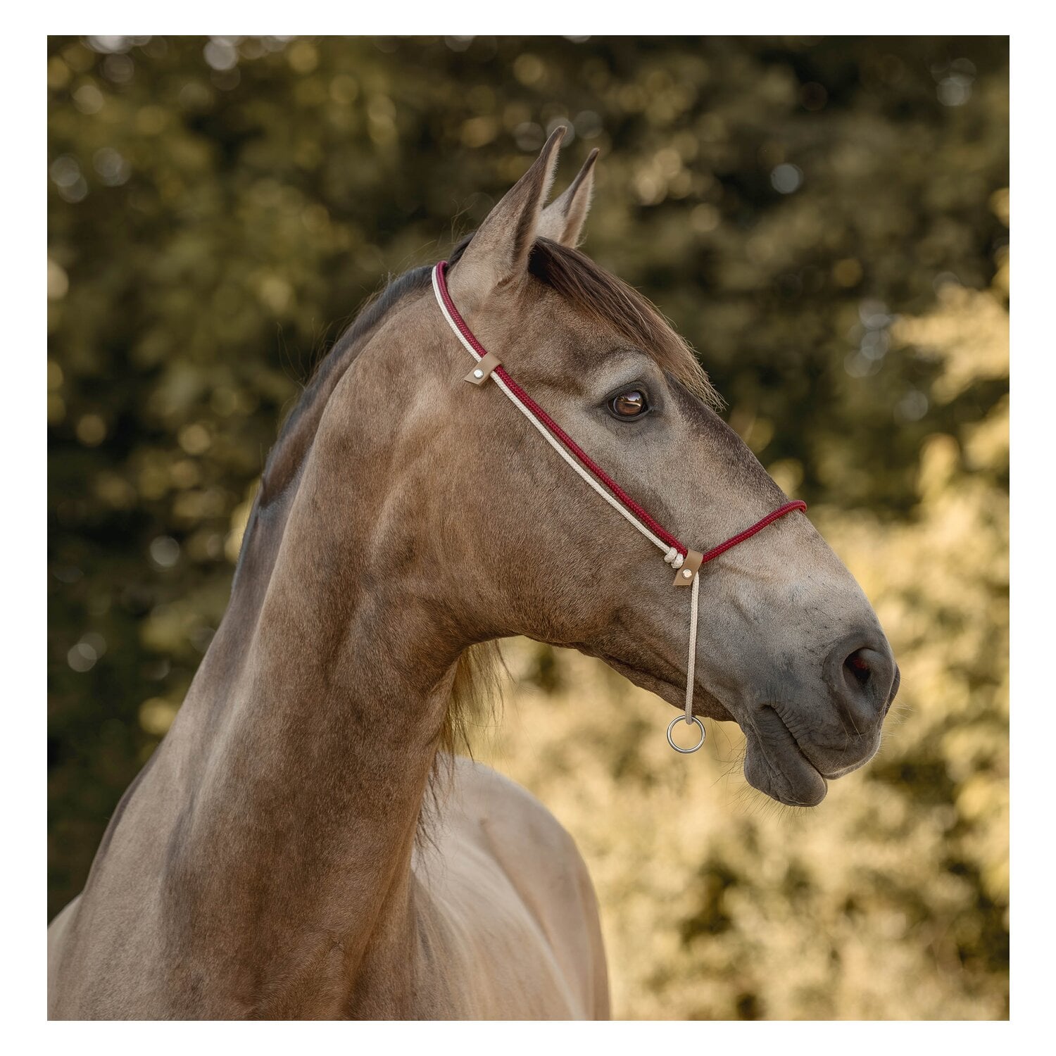 SUENO PETS 2 in 1 Halsring &ndash; Ansicht 2