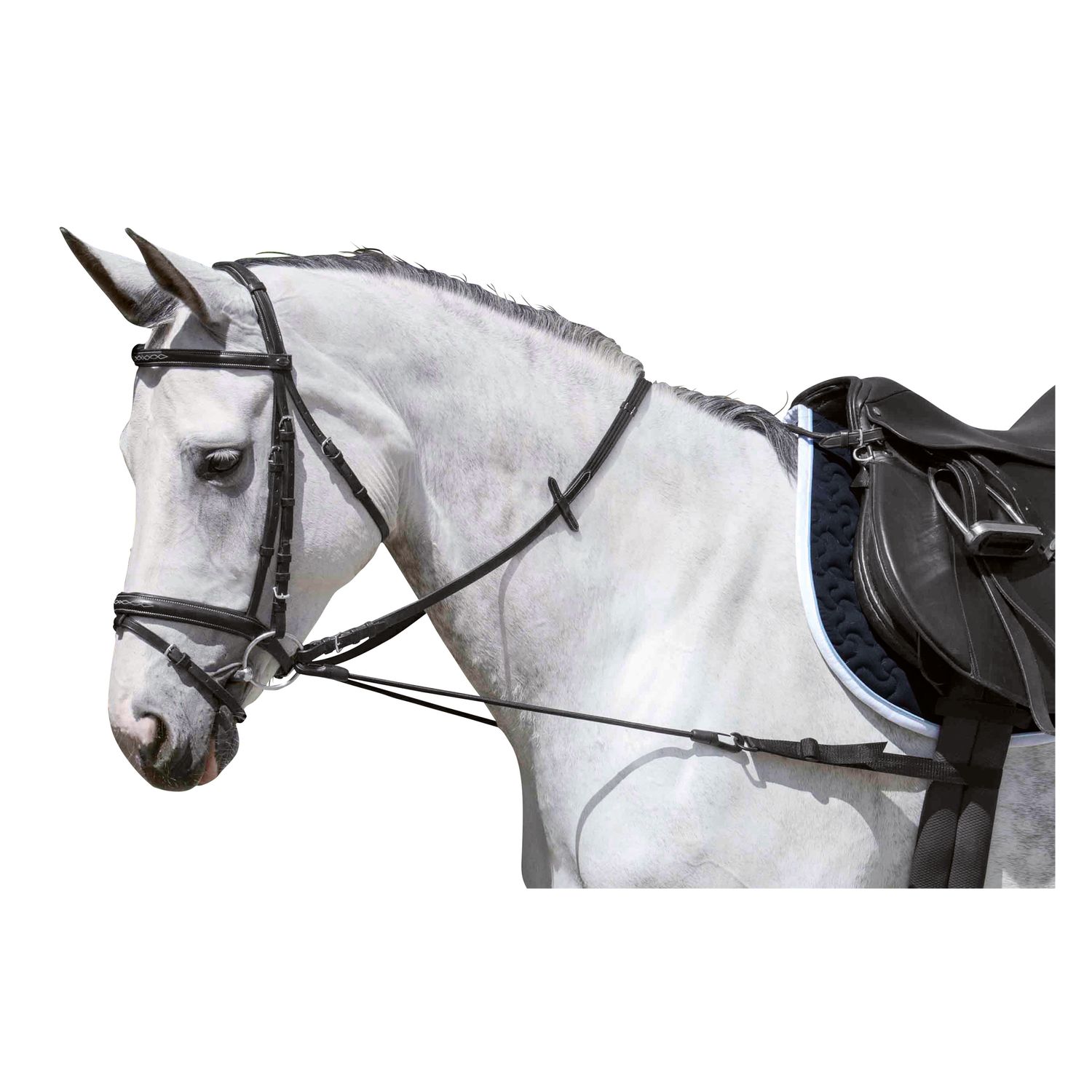 Loesdau Ausbindezügel – Ansicht 1