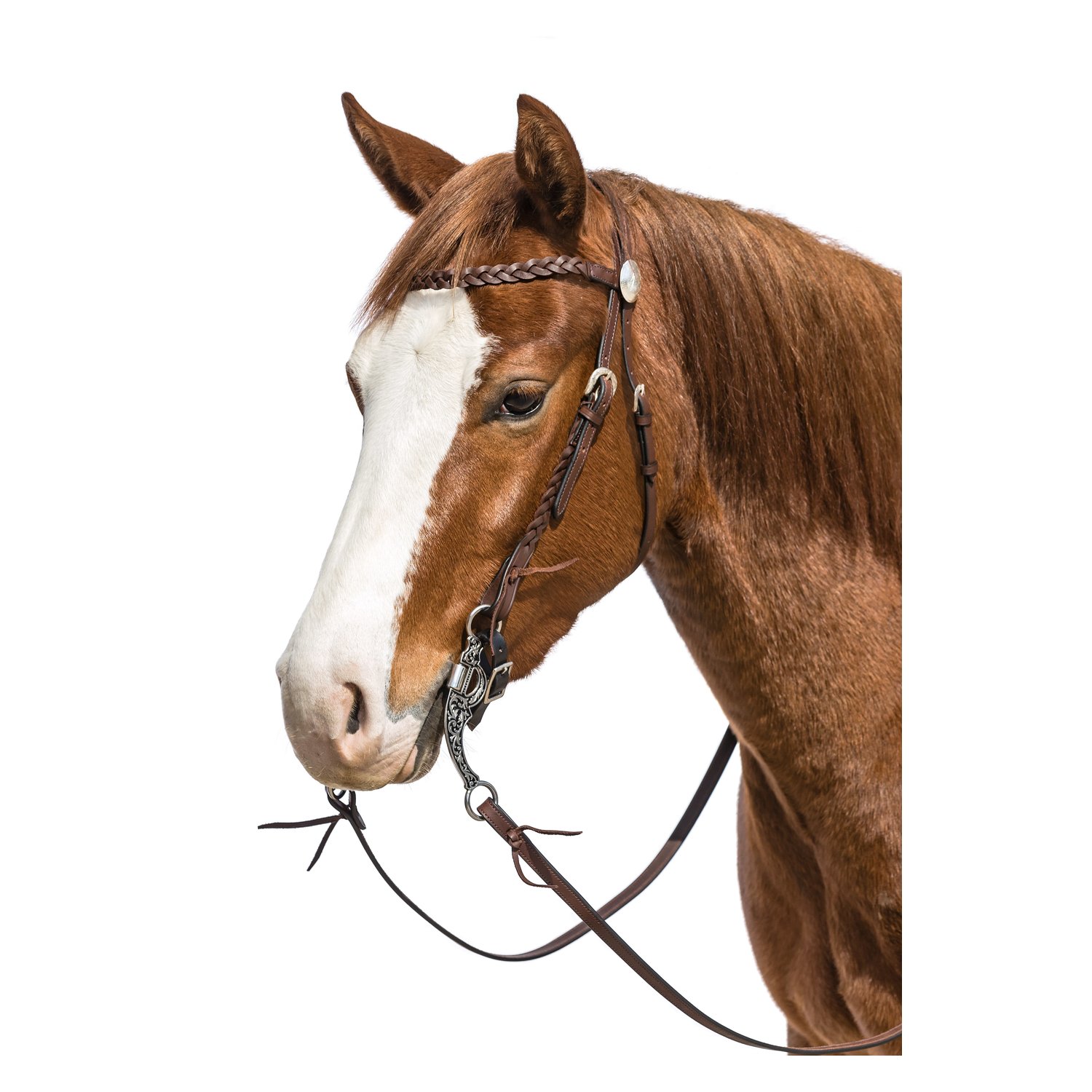 L-pro West Westerntrense Vancouver – Ansicht 2