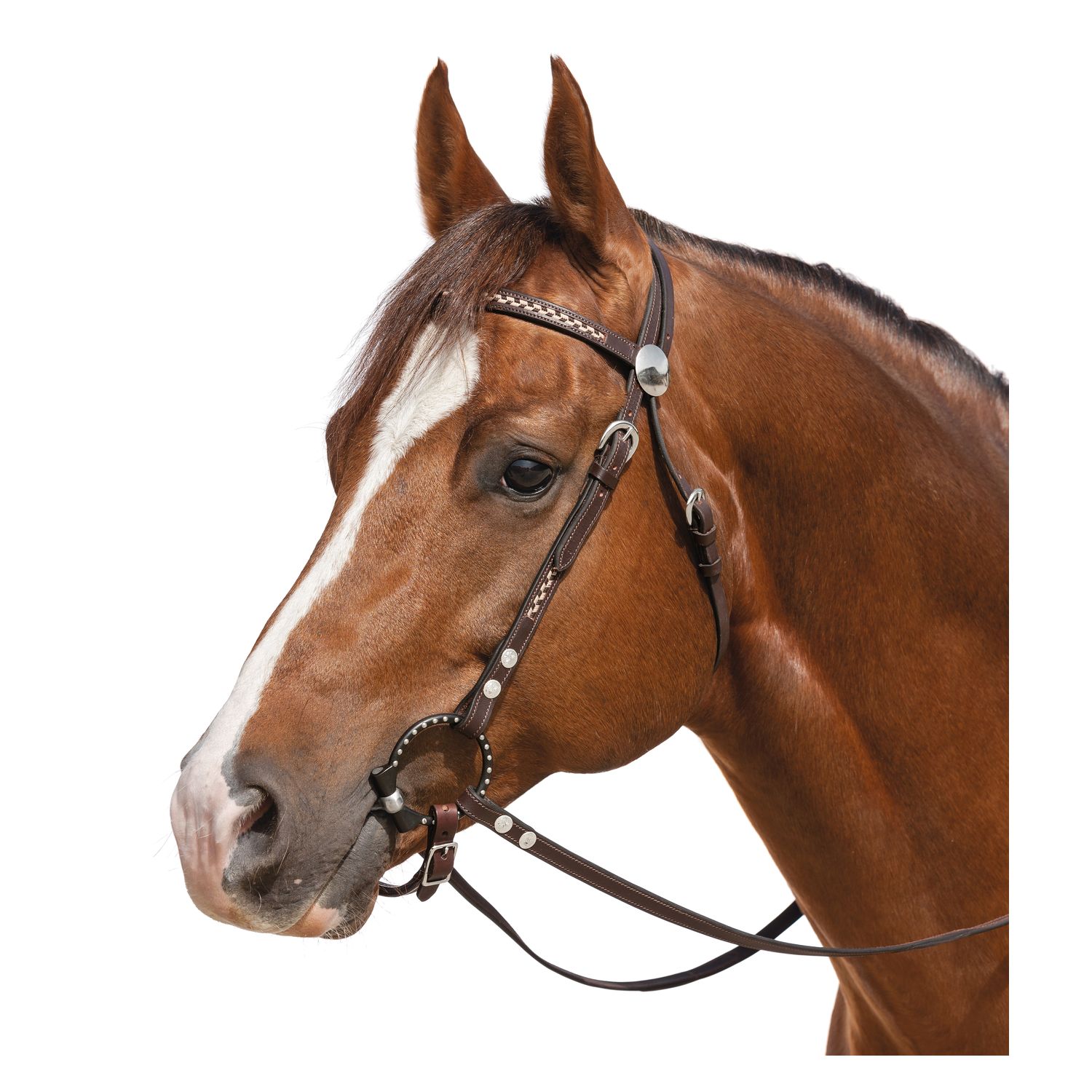 L-pro West Westerntrense Odessa – Ansicht 1