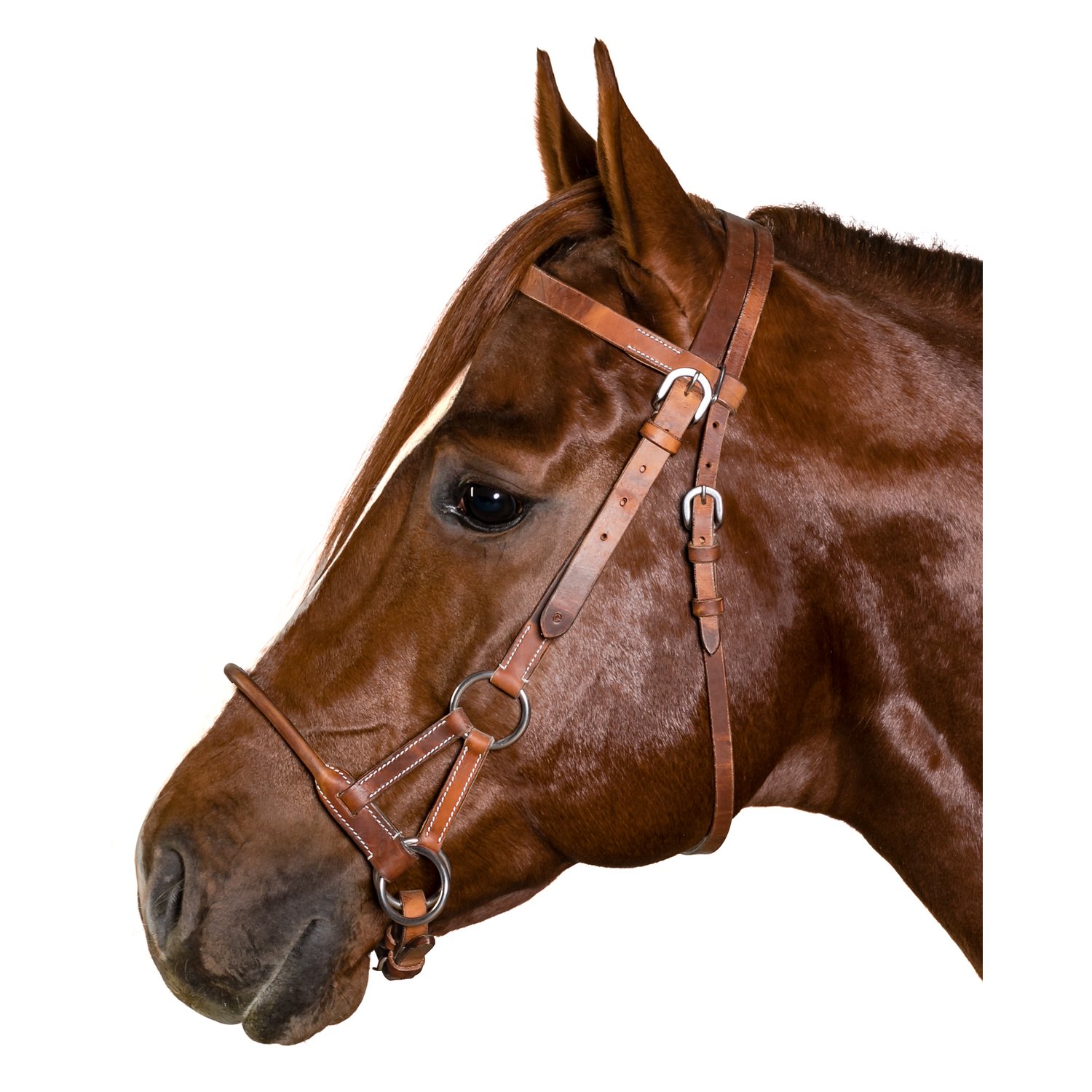 L-pro West Sidepull – Ansicht 1