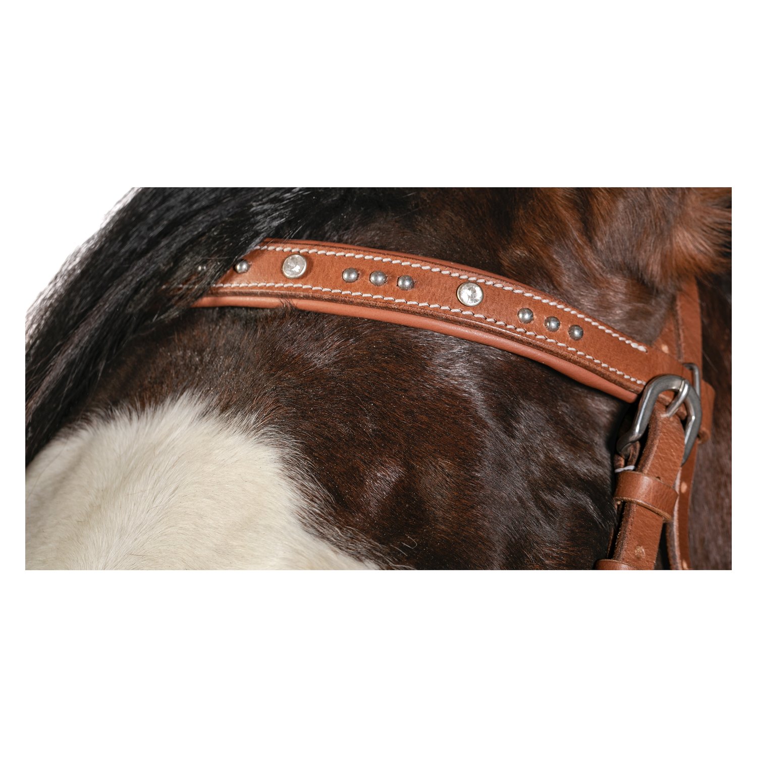 L-pro West Sidepull mit Nieten und Glitzersteinen – Ansicht 2