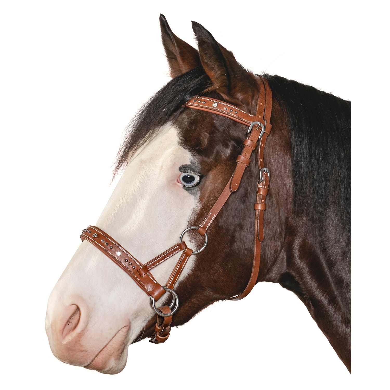 L-pro West Sidepull mit Nieten und Glitzersteinen – Ansicht 1