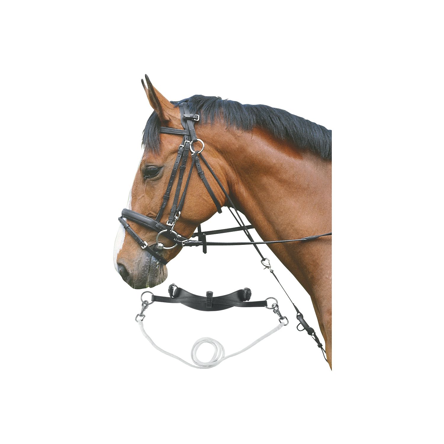 Chambon – Ansicht 1