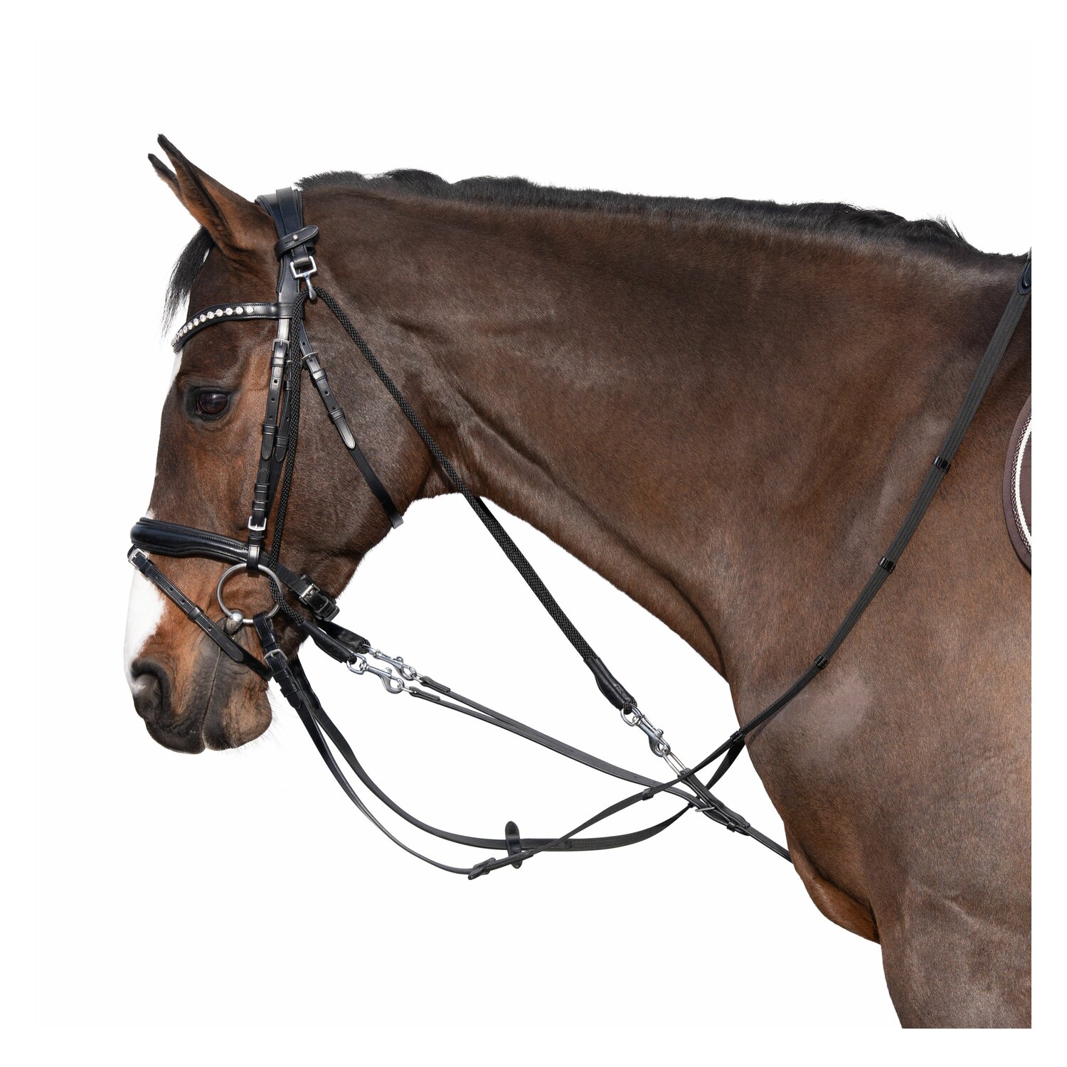 Gogue &ndash; Ansicht 1