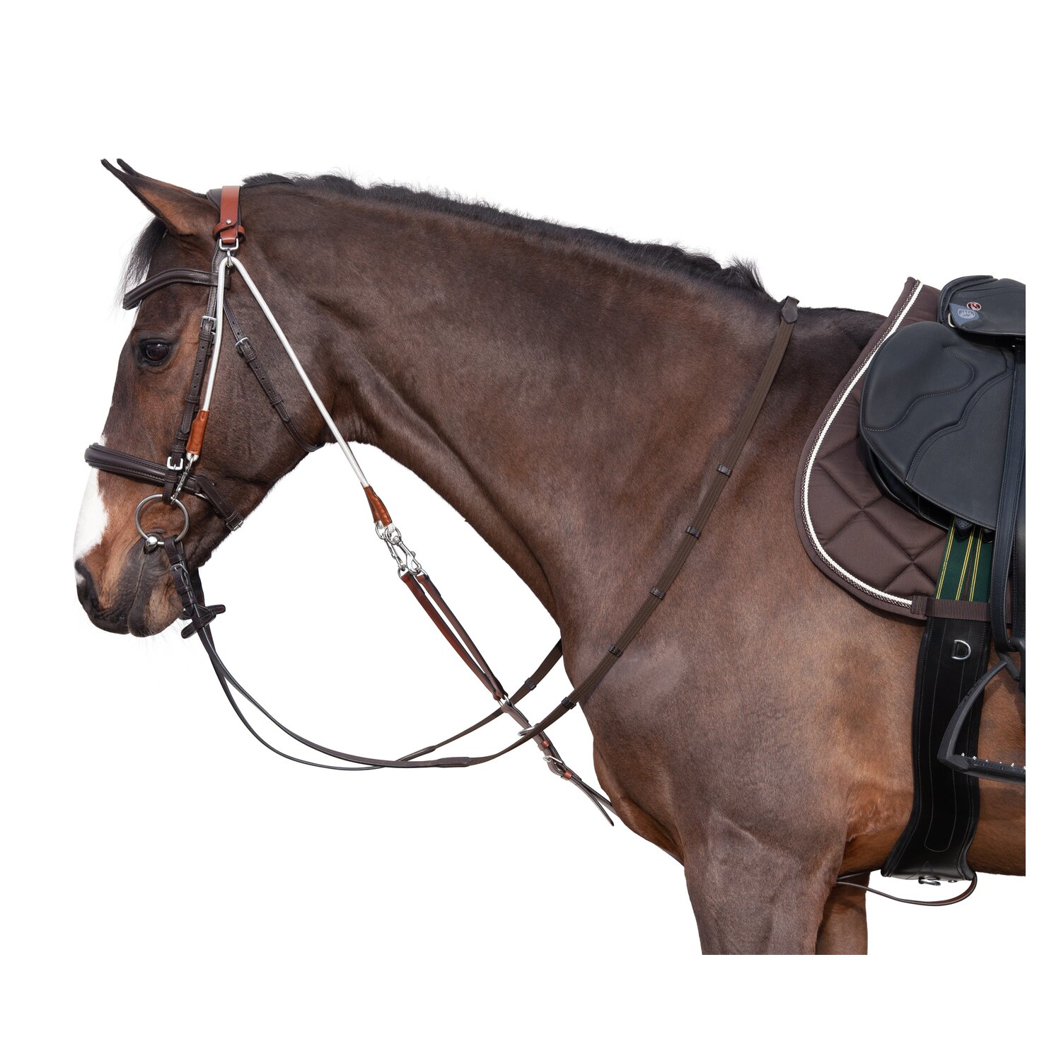 Chambon Profi &ndash; Ansicht 1