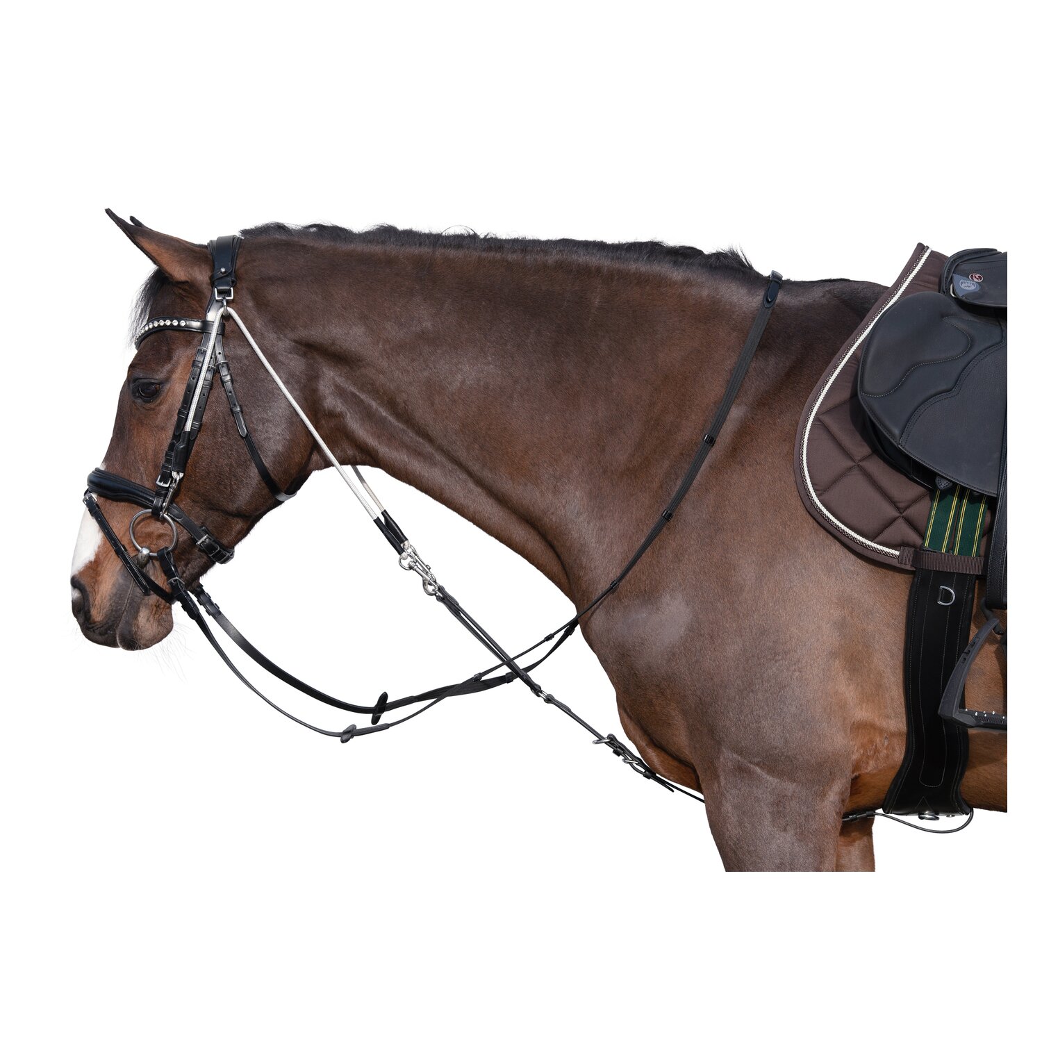 Chambon Profi &ndash; Ansicht 1