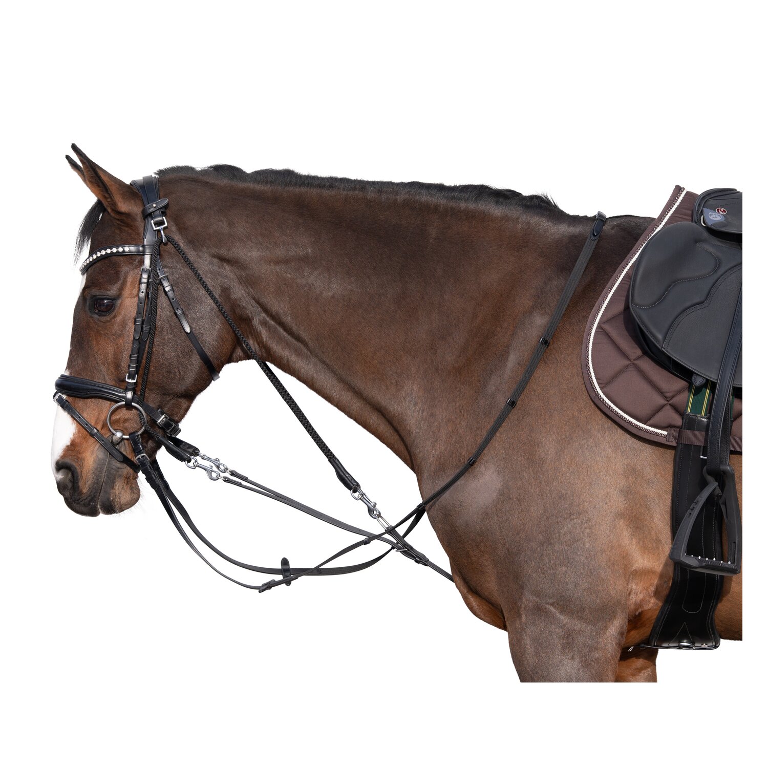 MONTIVUM Gogue – Ansicht 2