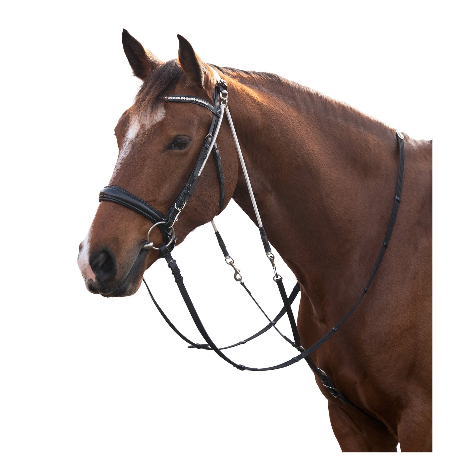 MONTIVUM Chambon – Ansicht 2