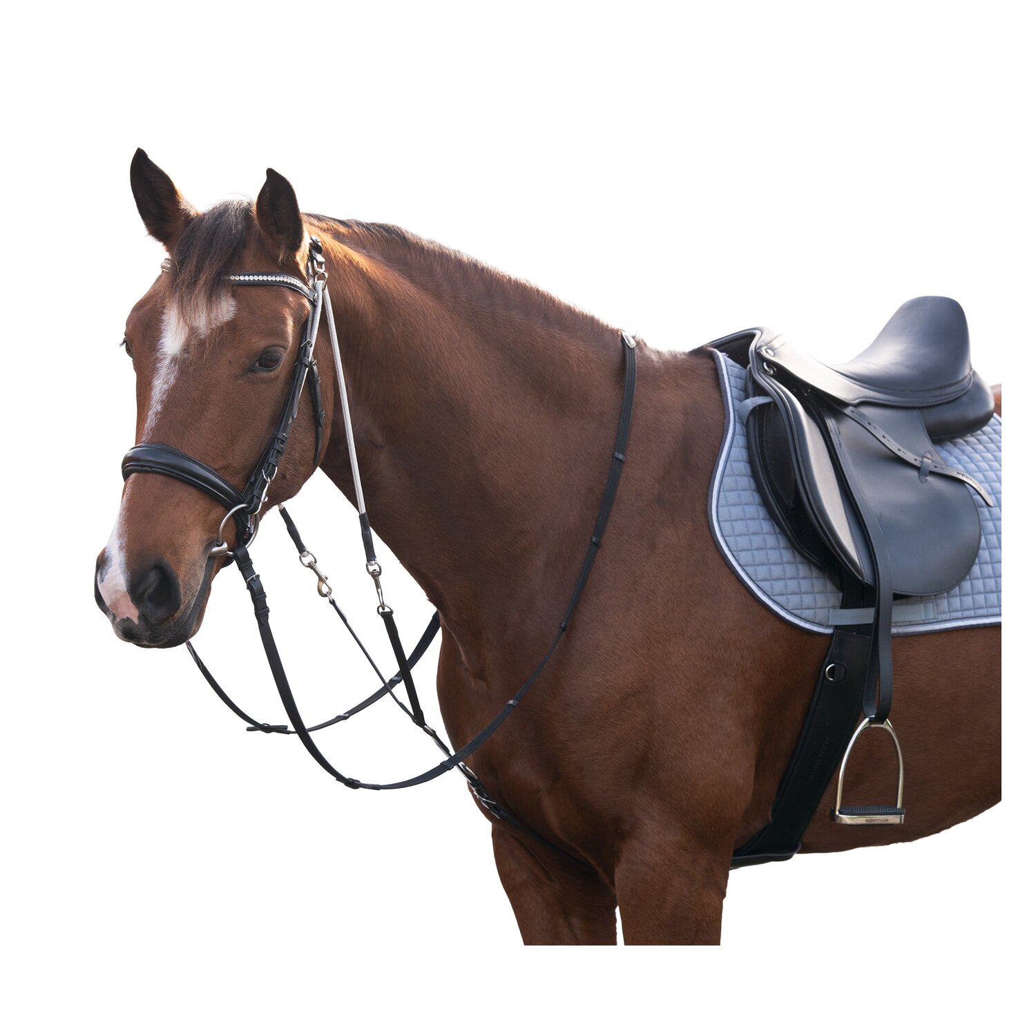 MONTIVUM Chambon – Ansicht 1