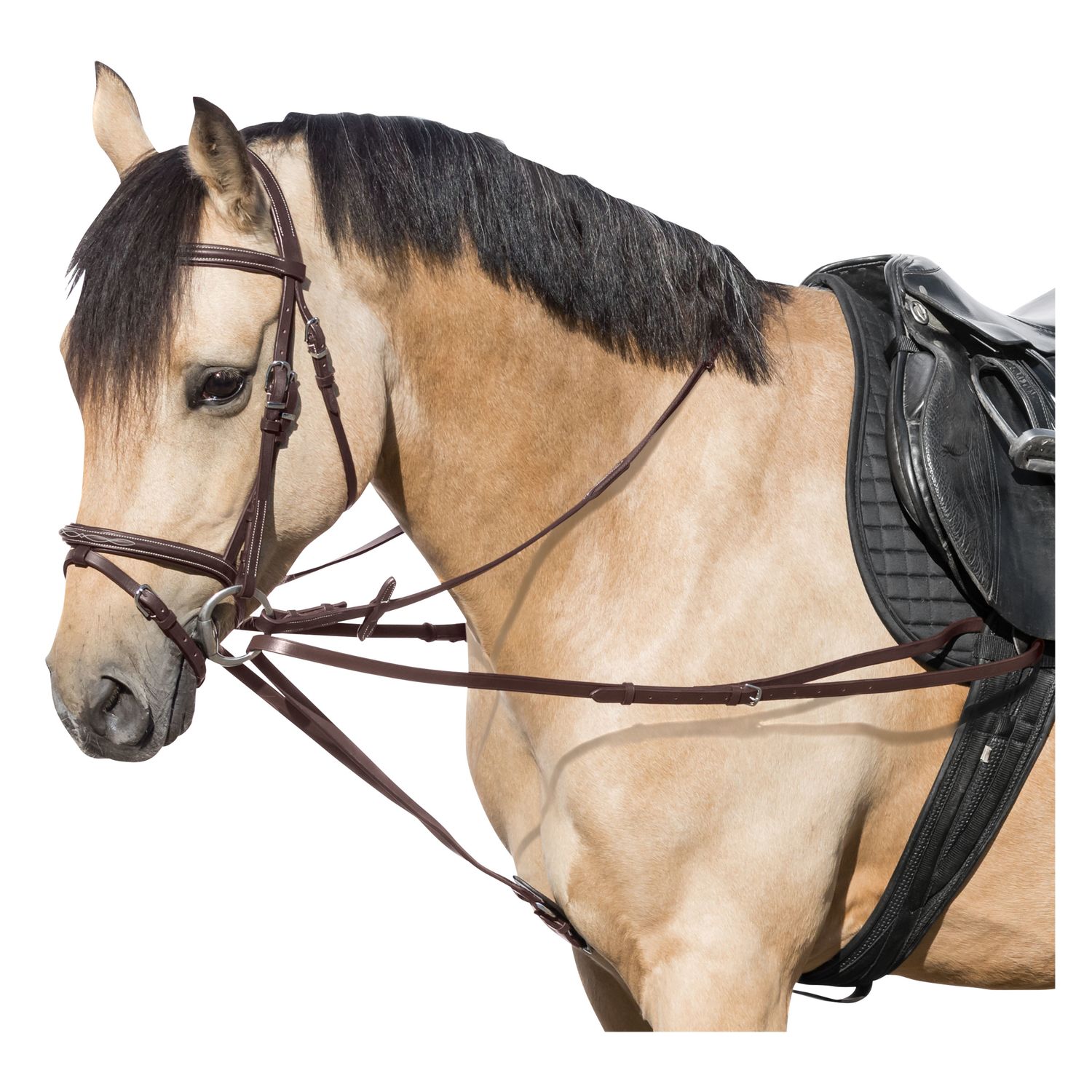 Loesdau Wienerzügel &ndash; Ansicht 1