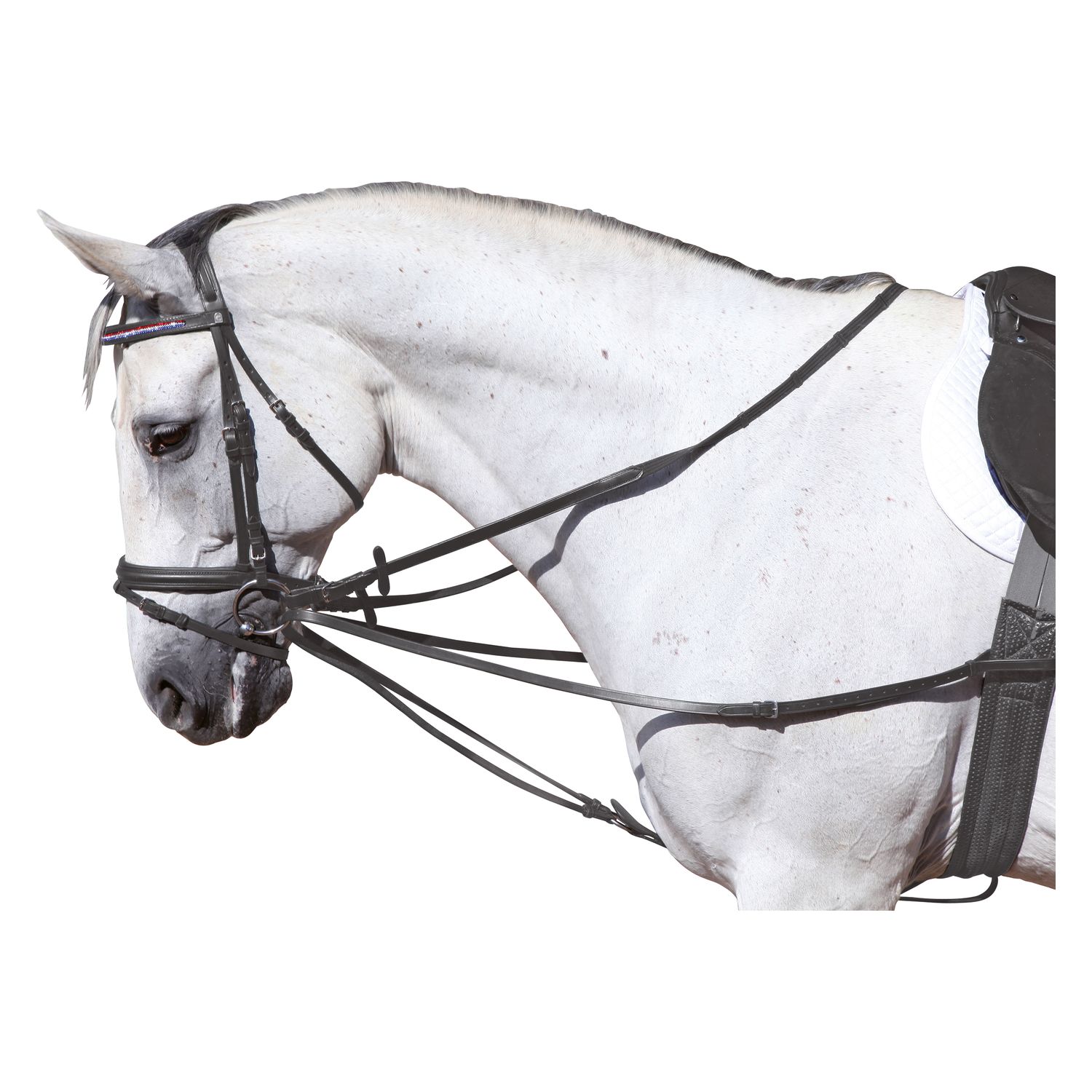 Loesdau Wienerzügel – Ansicht 1