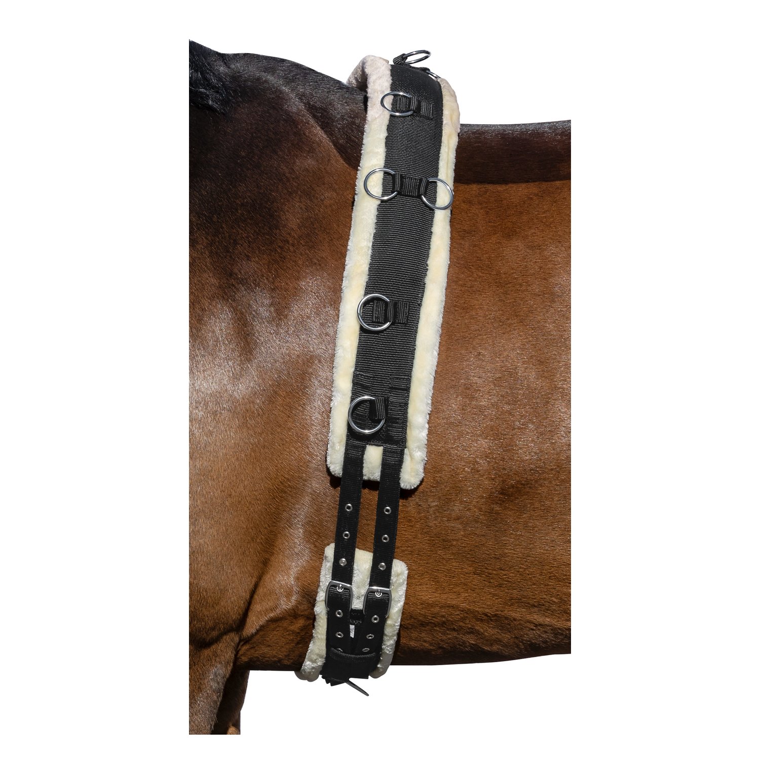 Horse-friends Longiergurt Comfort – Ansicht 1