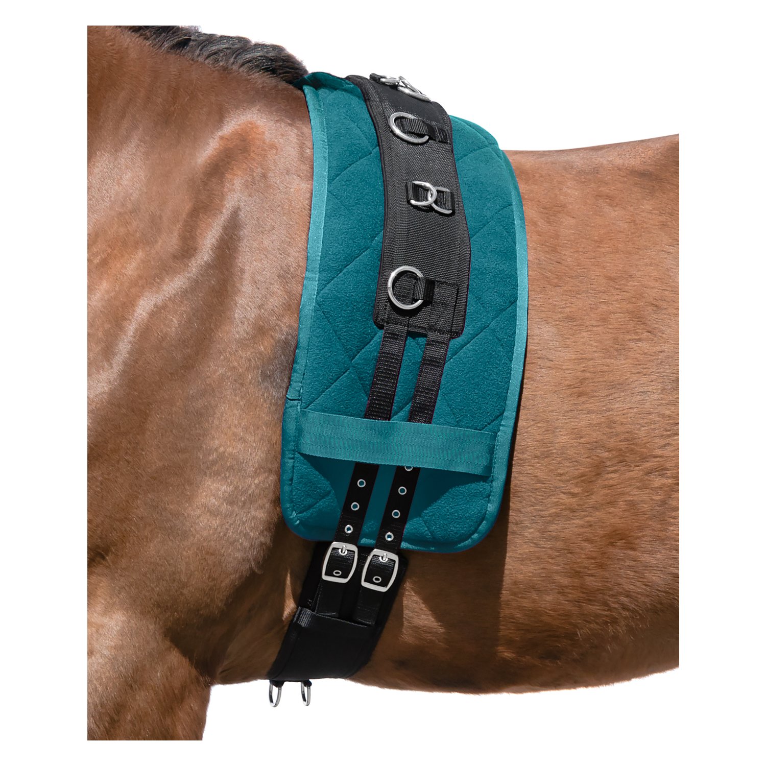 Horse-friends Longiergurt – Ansicht 2