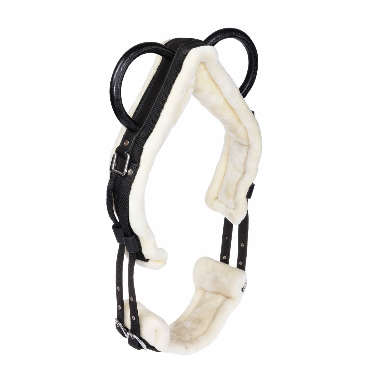 Horse-friends Longiergurt Forli – Ansicht 1