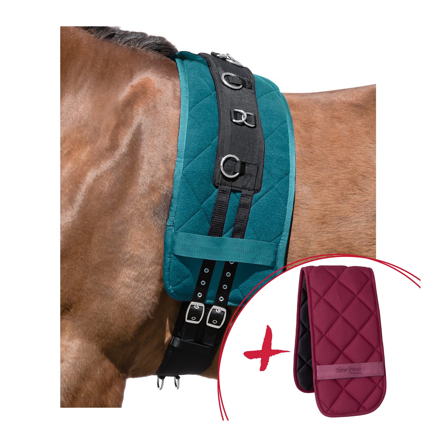 Horse-friends Set Longieren, Longiergurt + Unterlage – Ansicht 2