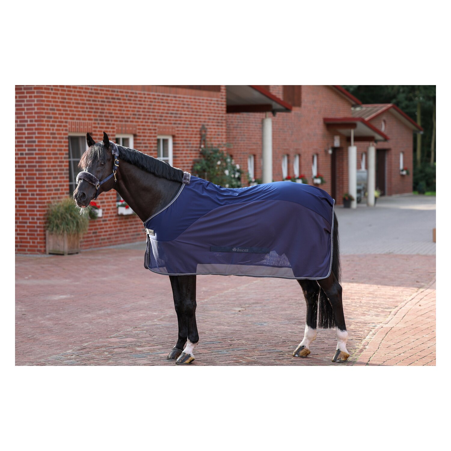 bucas Show-Line Collection Halfter &ndash; Ansicht 4