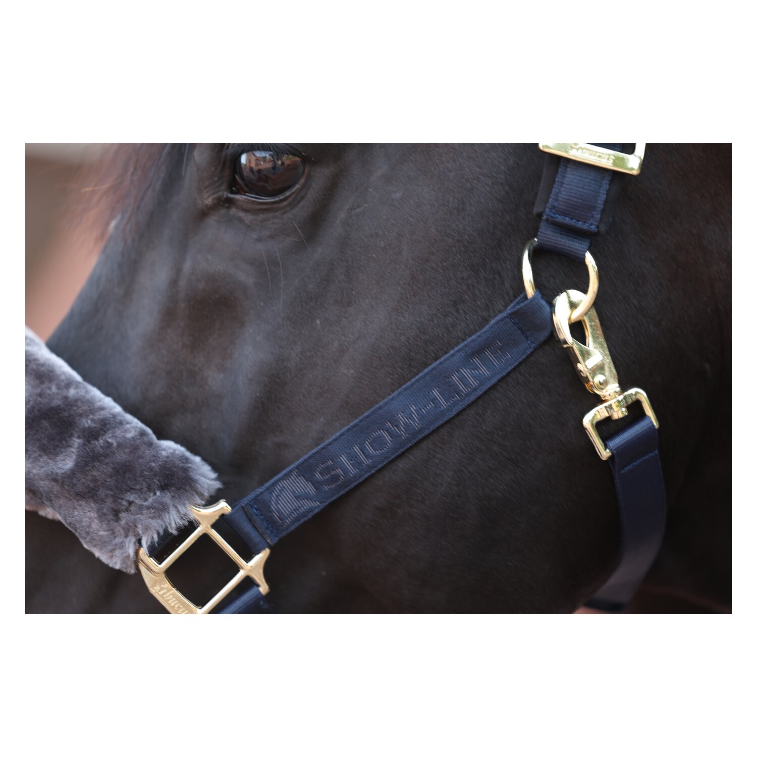 bucas Show-Line Collection Halfter &ndash; Ansicht 2