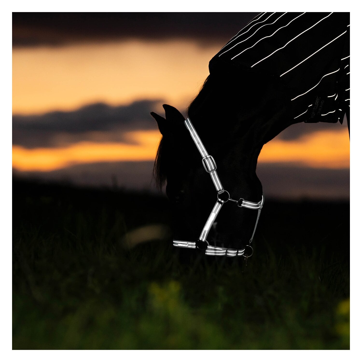 HORSEWARE Halfter Fieldsafe &ndash; Ansicht 2