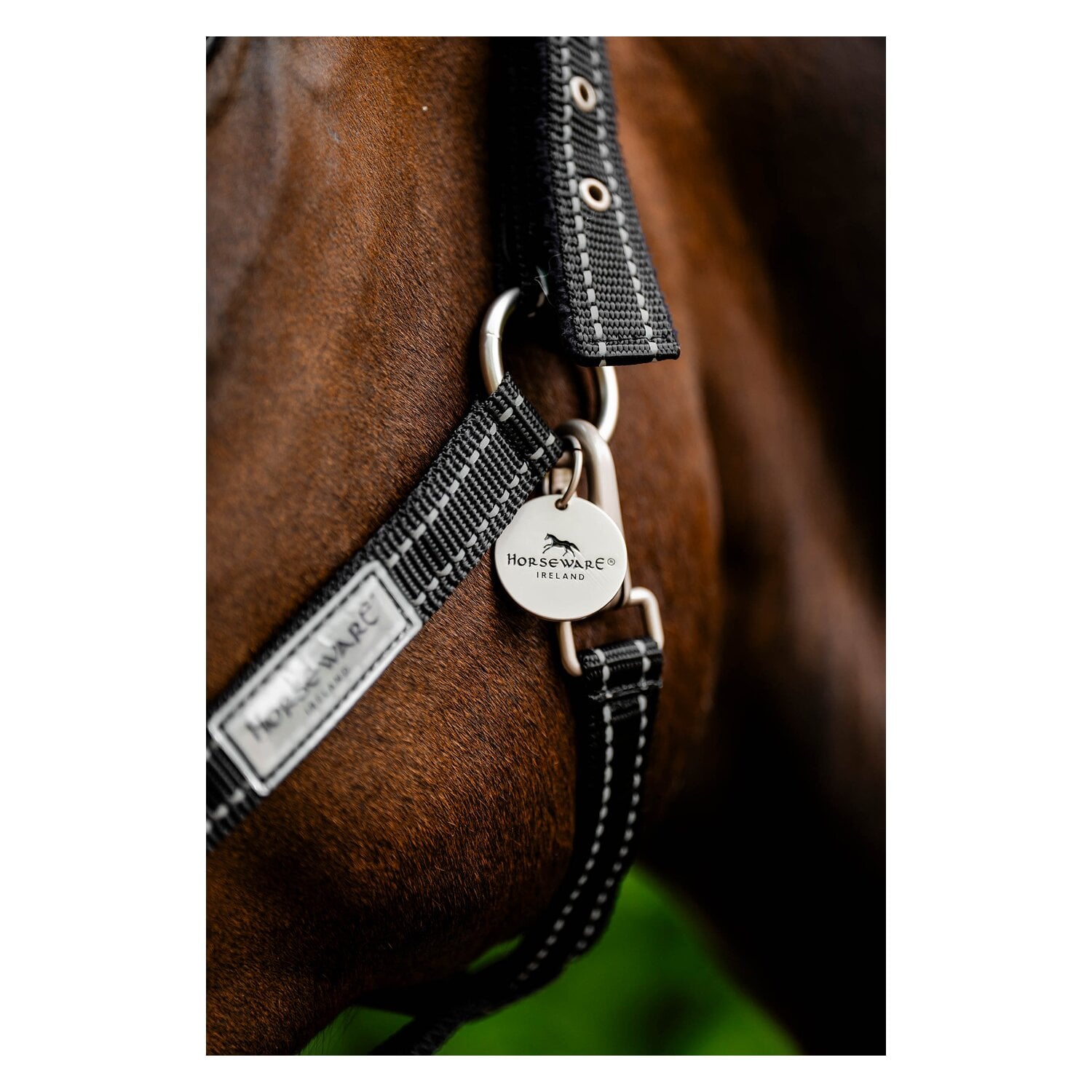 HORSEWARE Halfter Fieldsafe &ndash; Ansicht 4