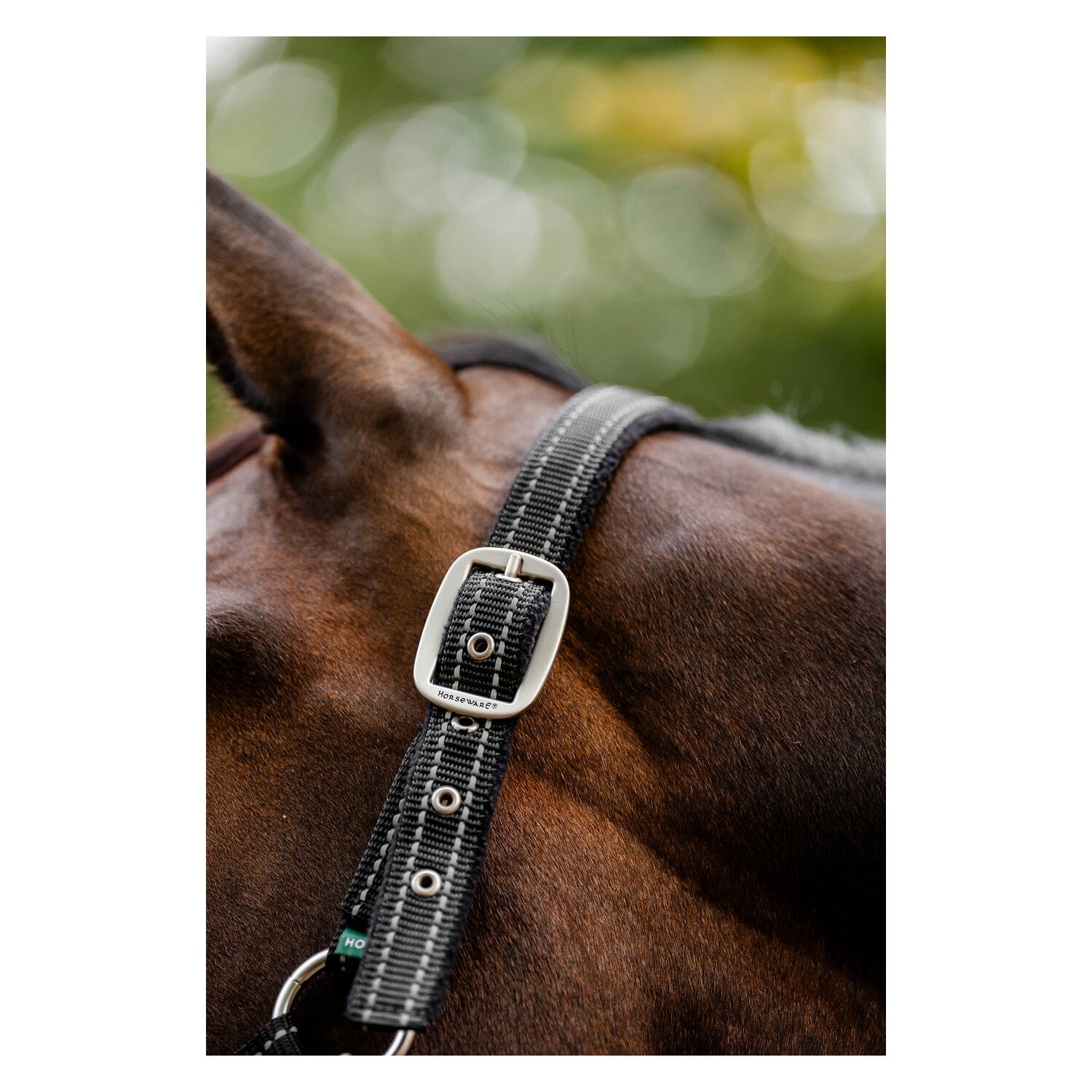 HORSEWARE Halfter Fieldsafe &ndash; Ansicht 5