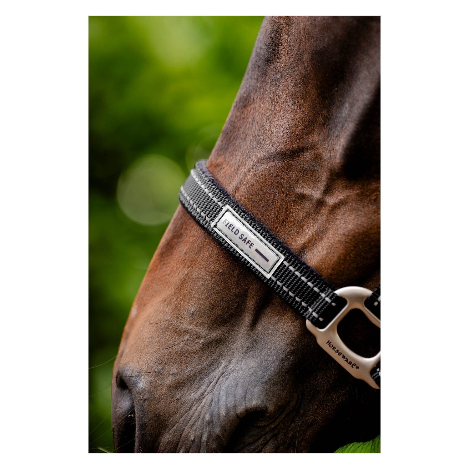 HORSEWARE Halfter Fieldsafe &ndash; Ansicht 3