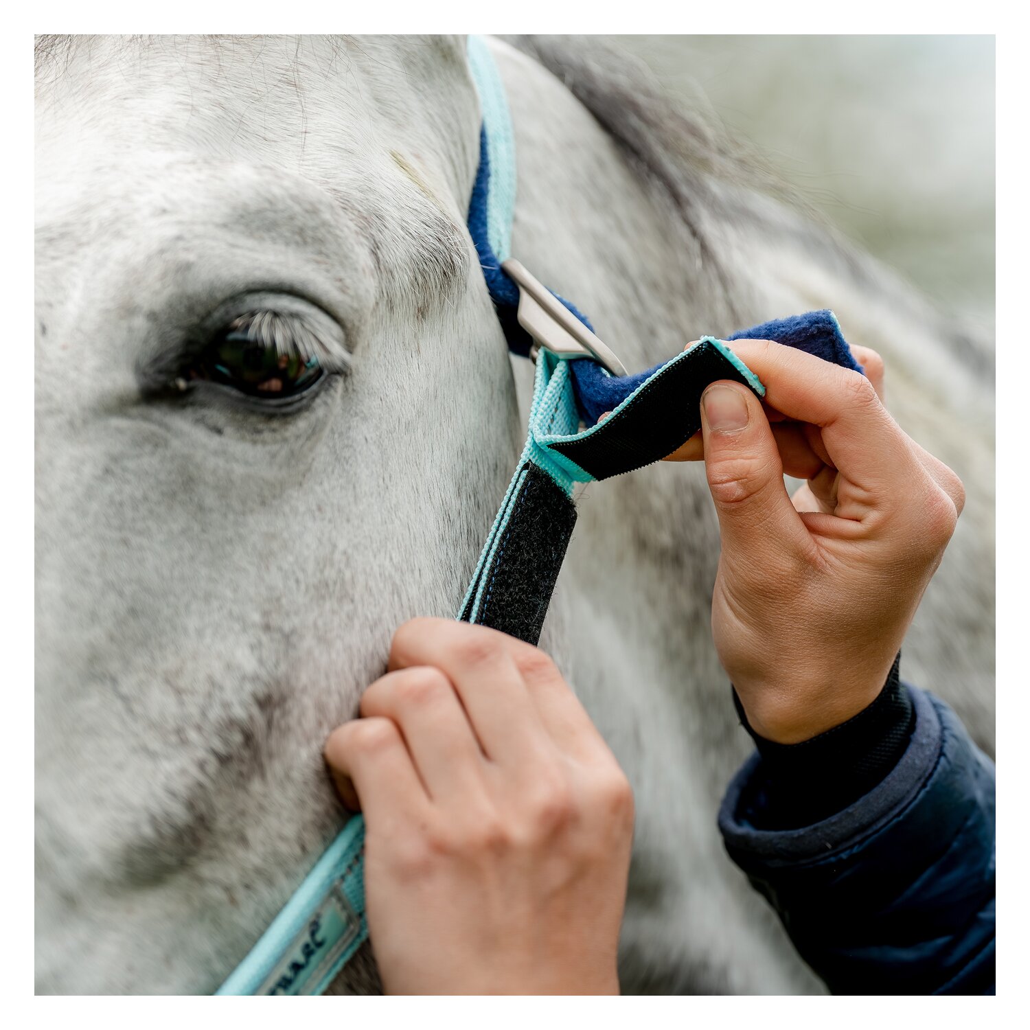 HORSEWARE Halfter Fieldsafe – Ansicht 2