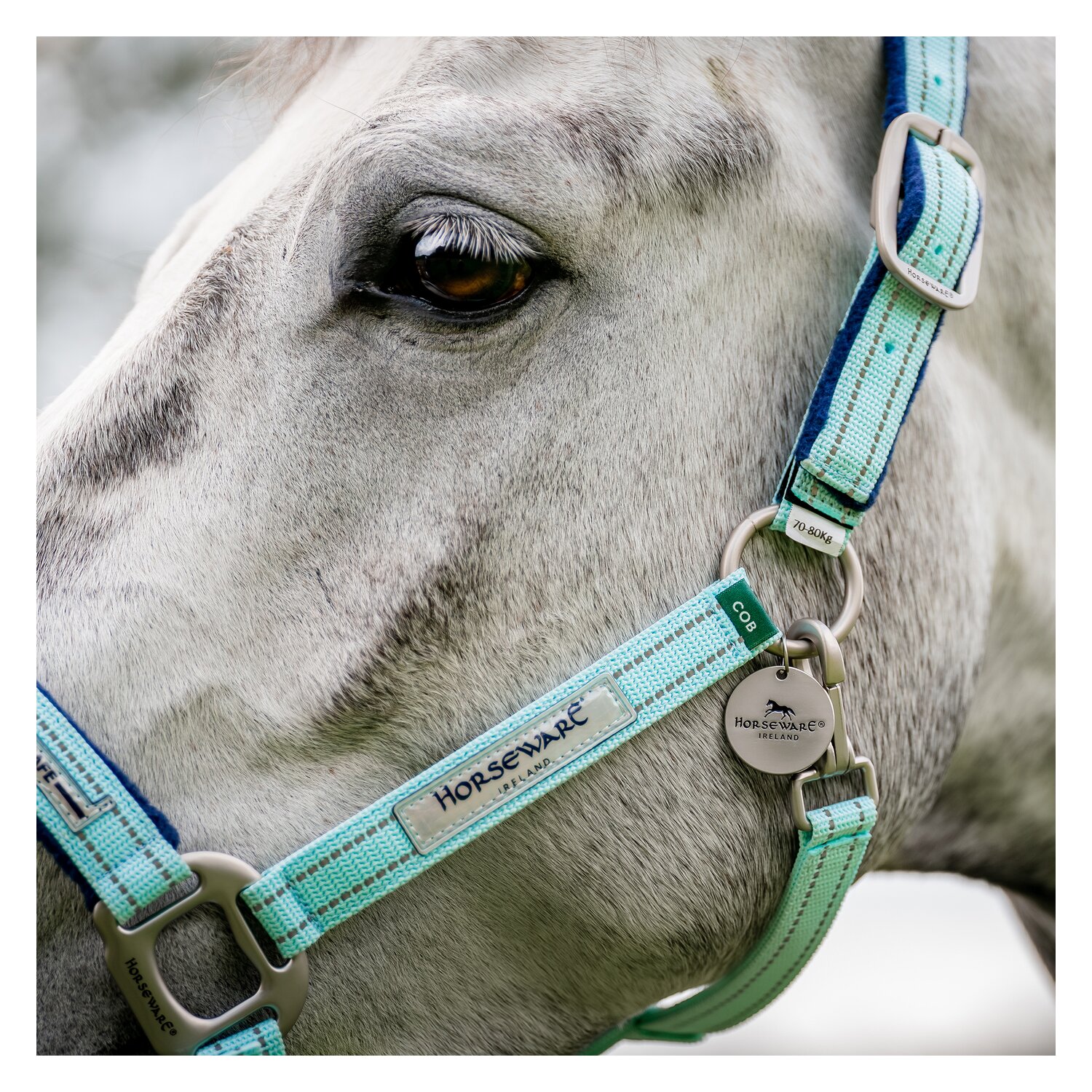 HORSEWARE Halfter Fieldsafe – Ansicht 3