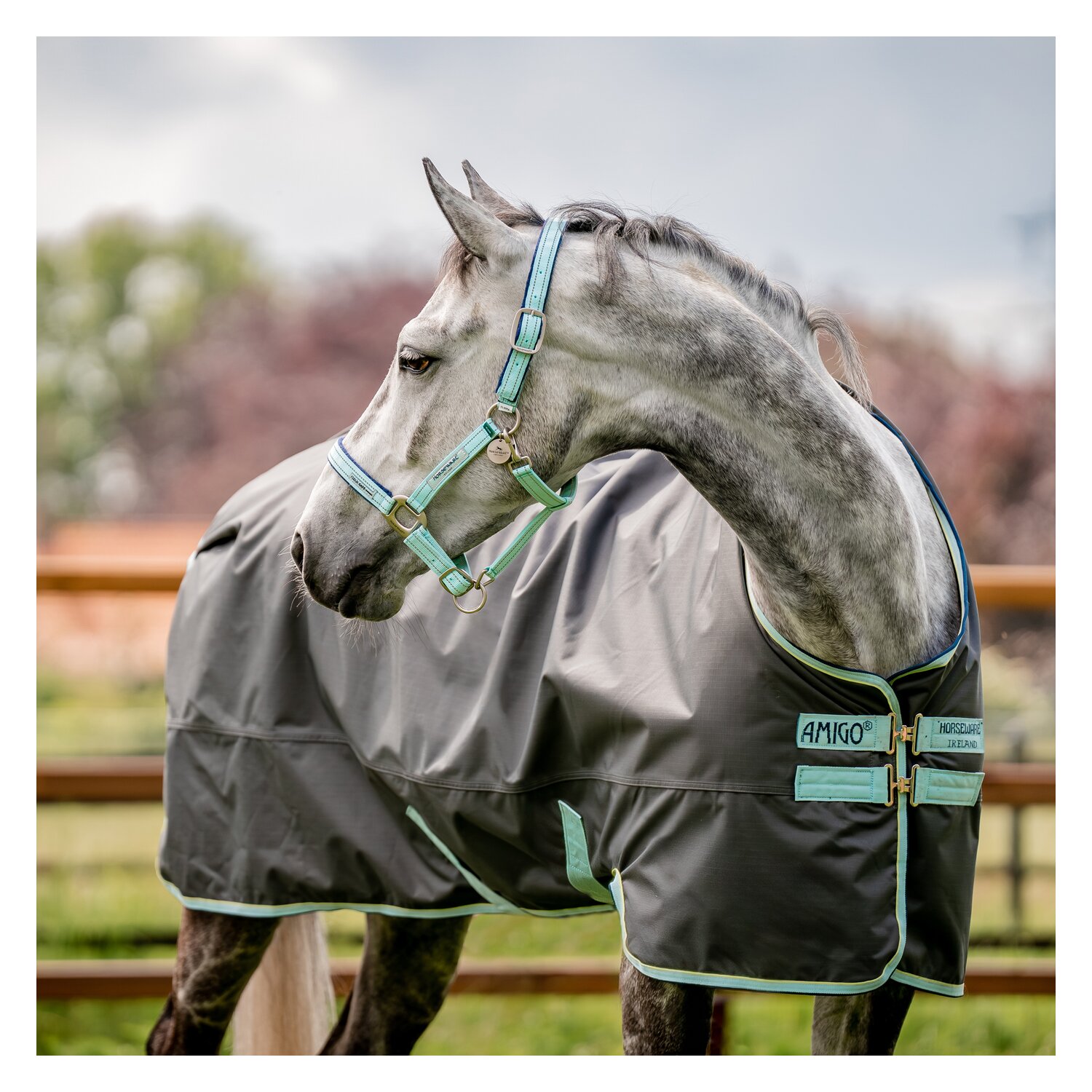 HORSEWARE Halfter Fieldsafe – Ansicht 1