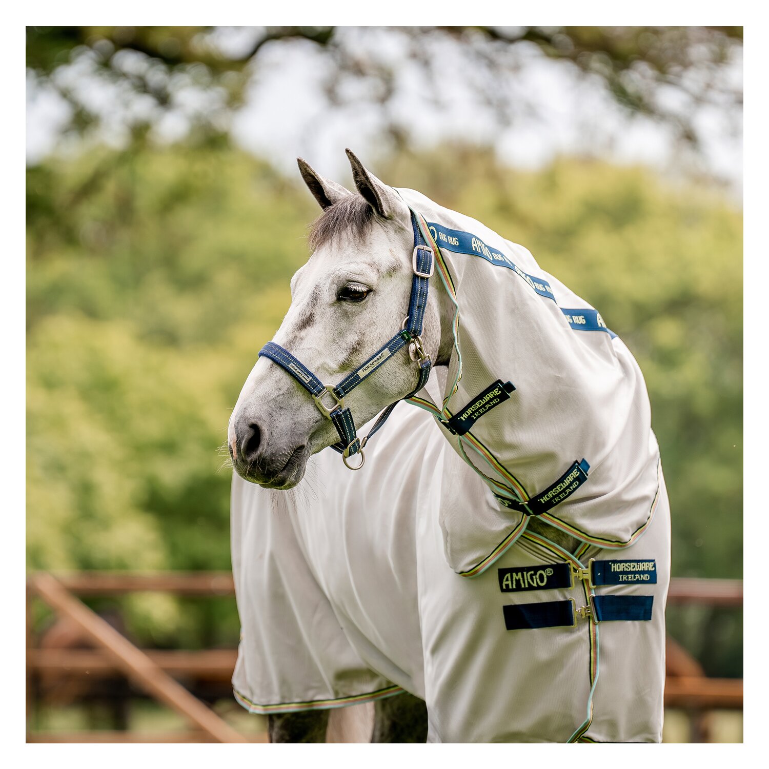 HORSEWARE Halfter Fieldsafe – Ansicht 2