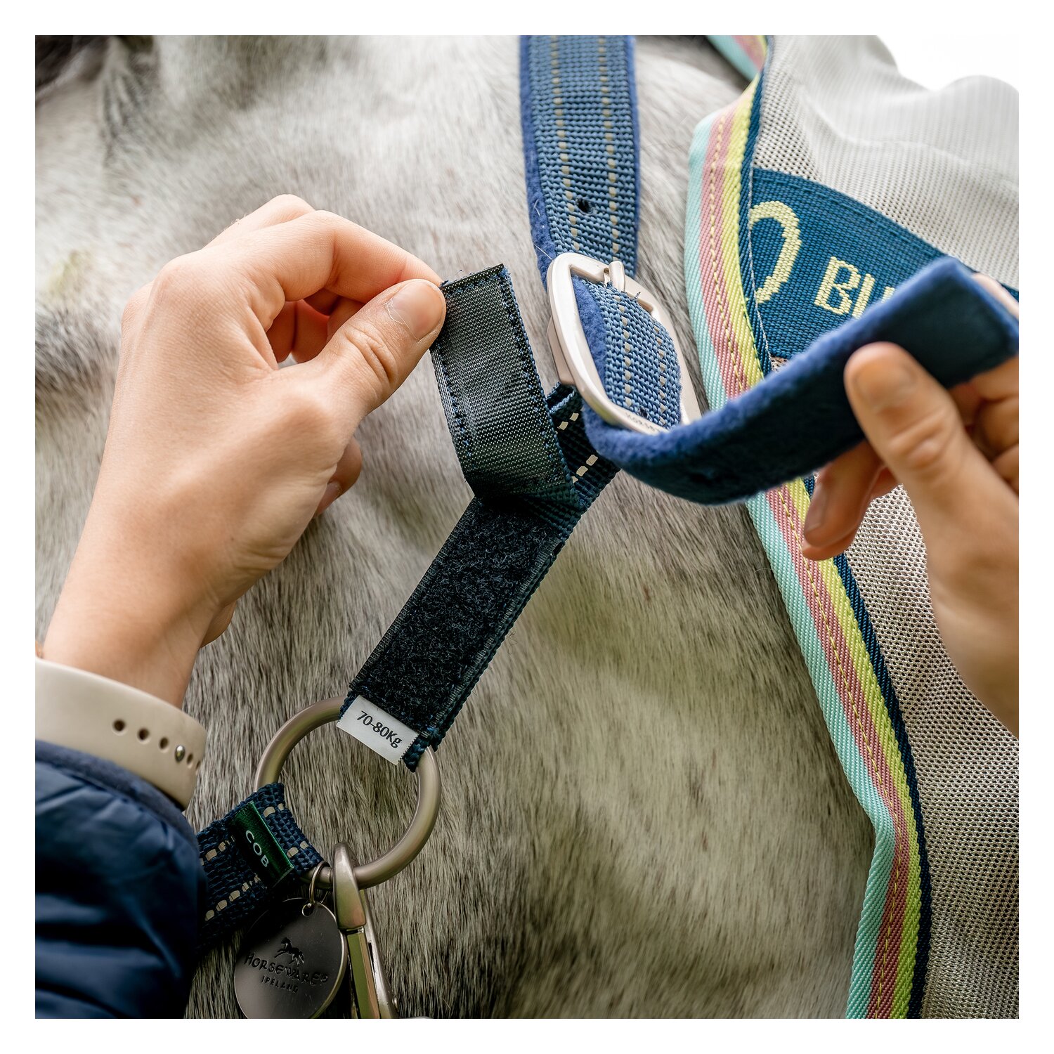 HORSEWARE Halfter Fieldsafe – Ansicht 3