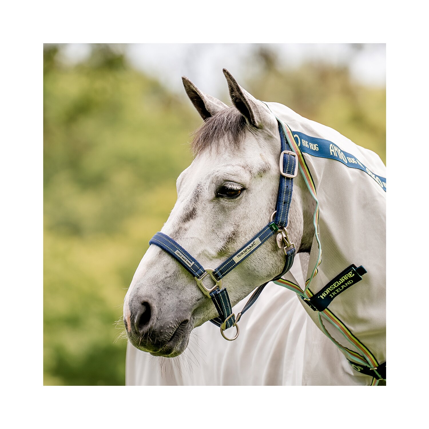 HORSEWARE Halfter Fieldsafe – Ansicht 1