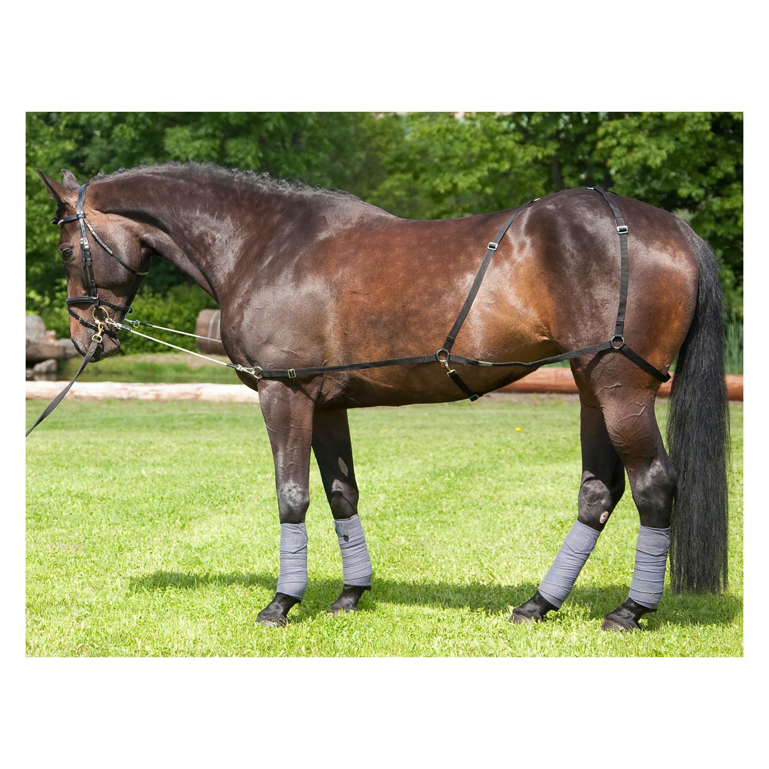 USG Longier- und Trainingssystem &ndash; Ansicht 1