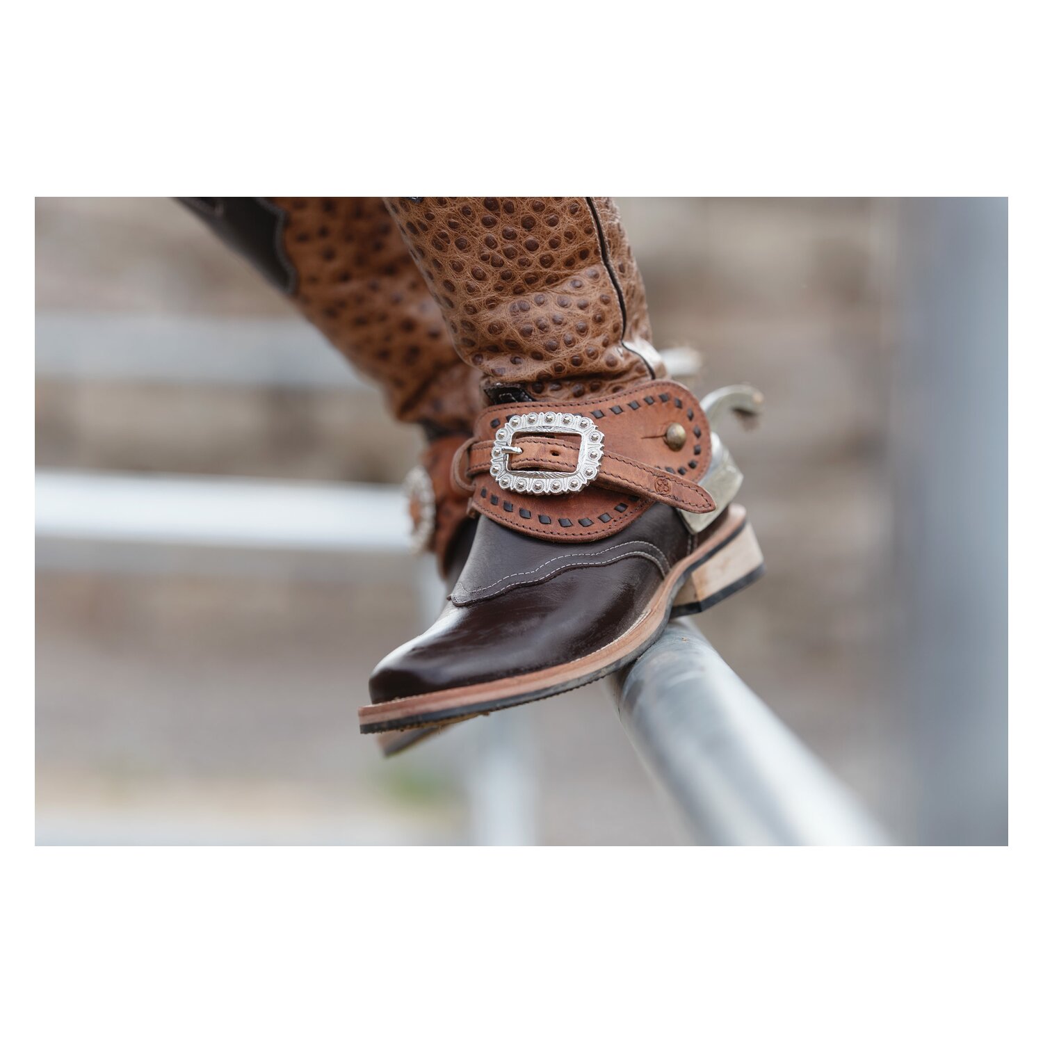 Passion 4Q Sporenriemen – Ansicht 2