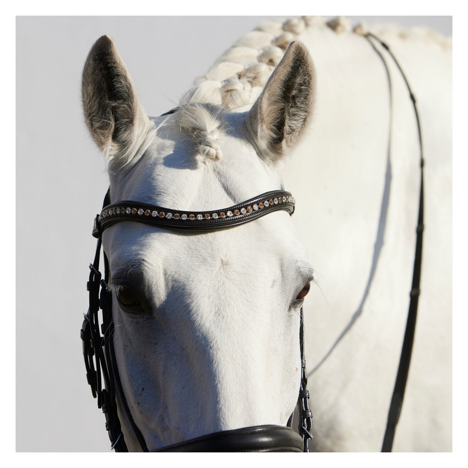 kieffer Stirnband FlexiLoop 6 mm – Ansicht 3