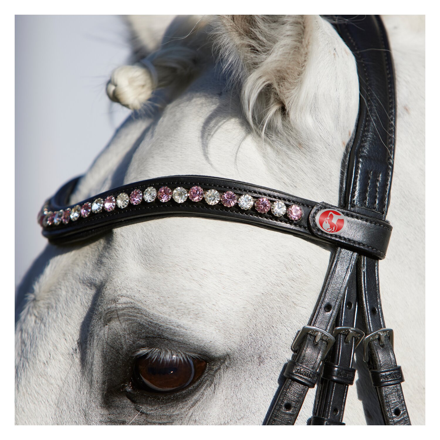 kieffer Stirnband FlexiLoop 8 mm – Ansicht 3