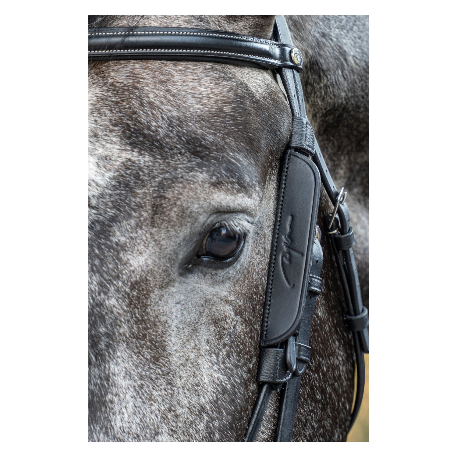 Dy'on Mini-Scheuklappen – Ansicht 1