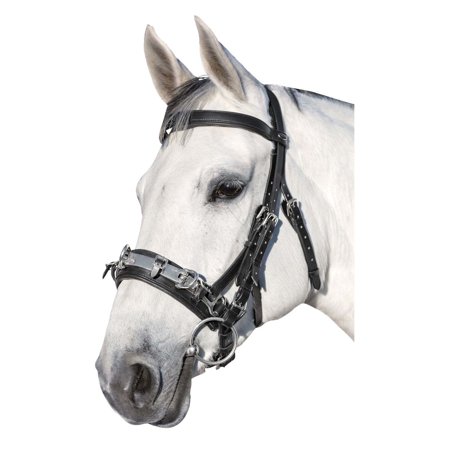 Loesdau Kappzaum Comfort – Ansicht 1