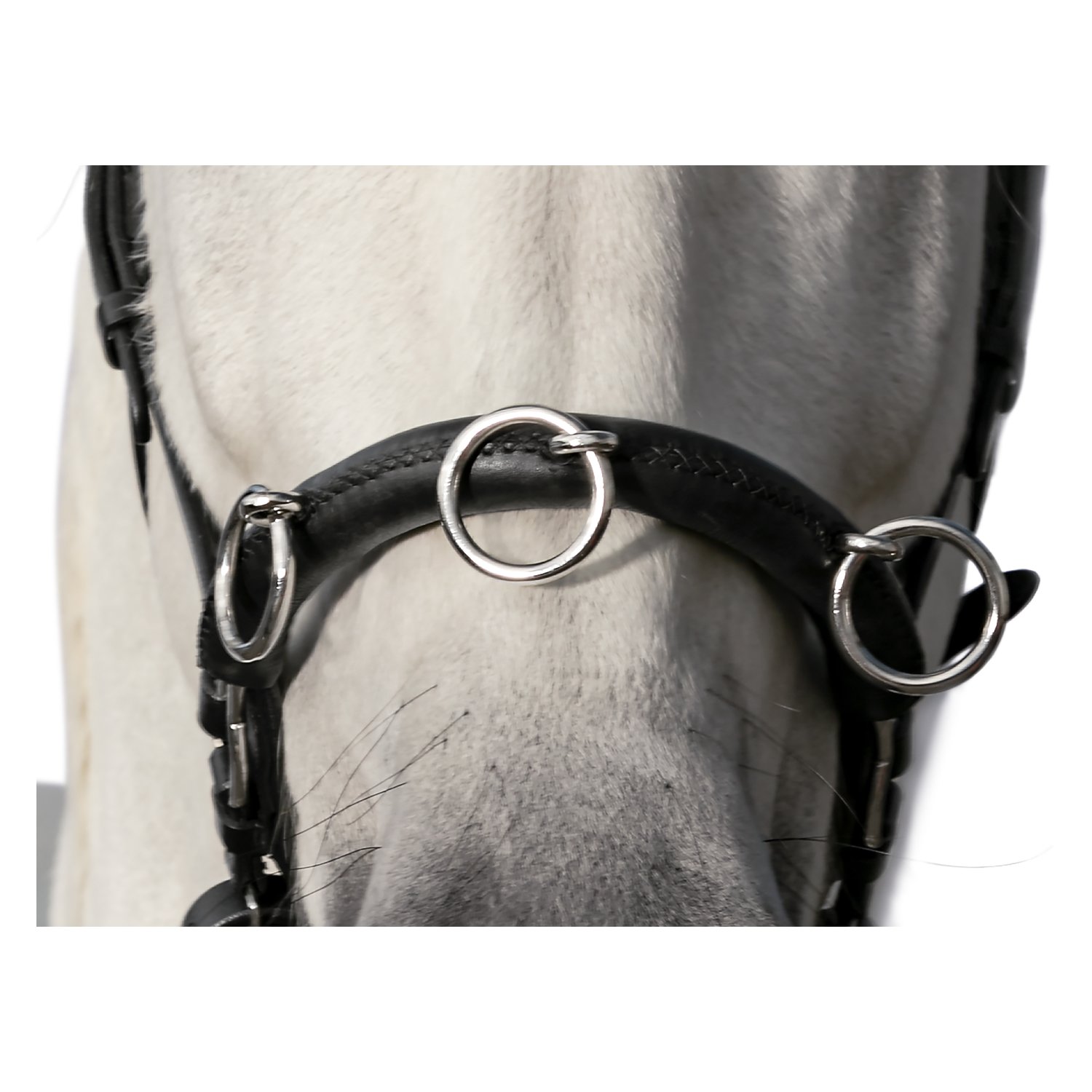 Loesdau Kappzaum Fortaleza – Ansicht 3