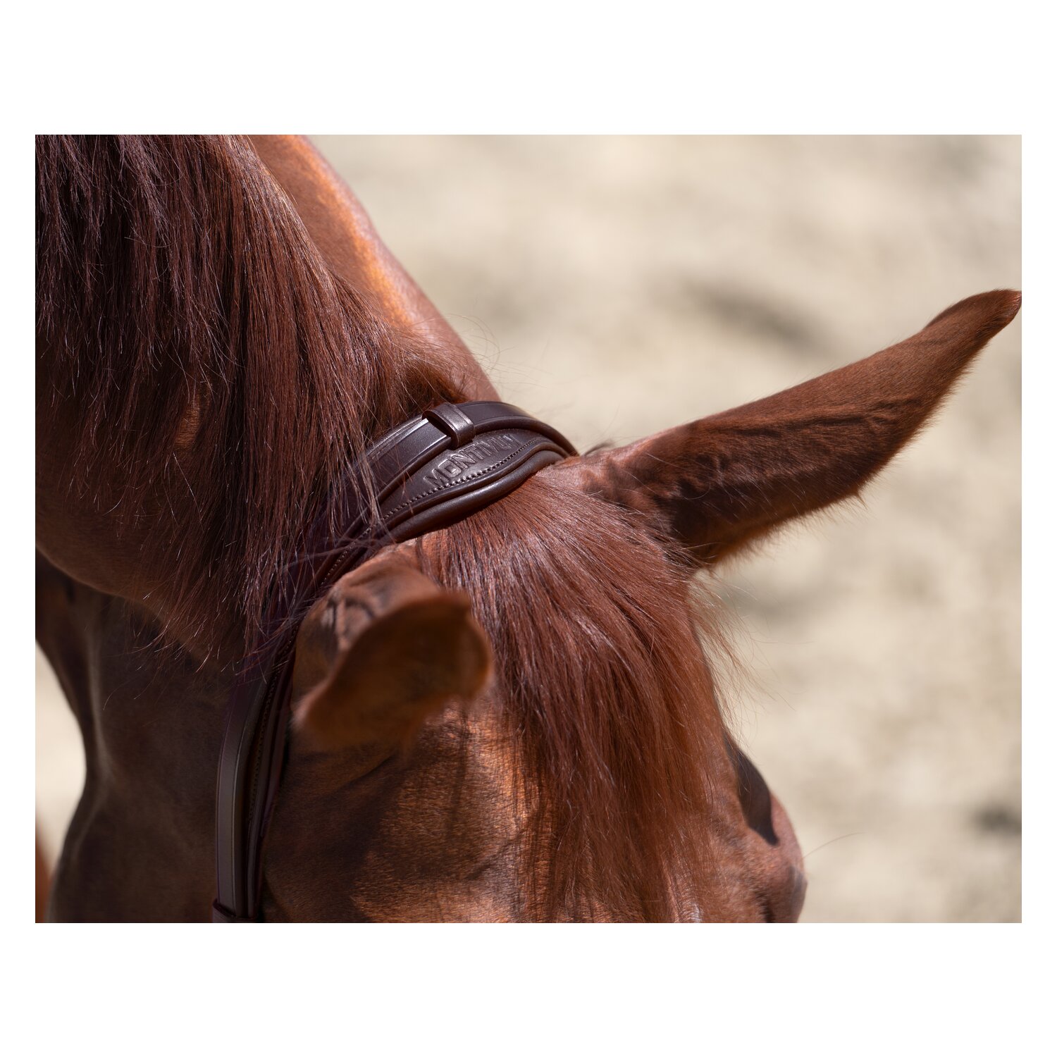 MONTIVUM Kappzaum – Ansicht 2