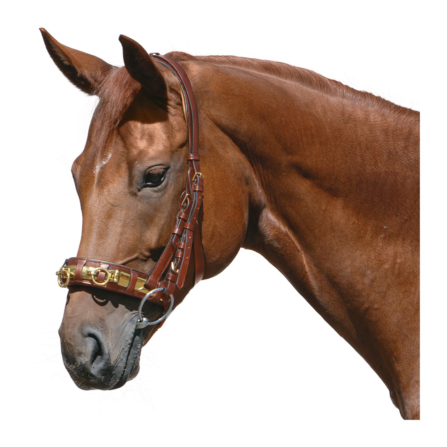 MONTIVUM Kappzaum – Ansicht 1