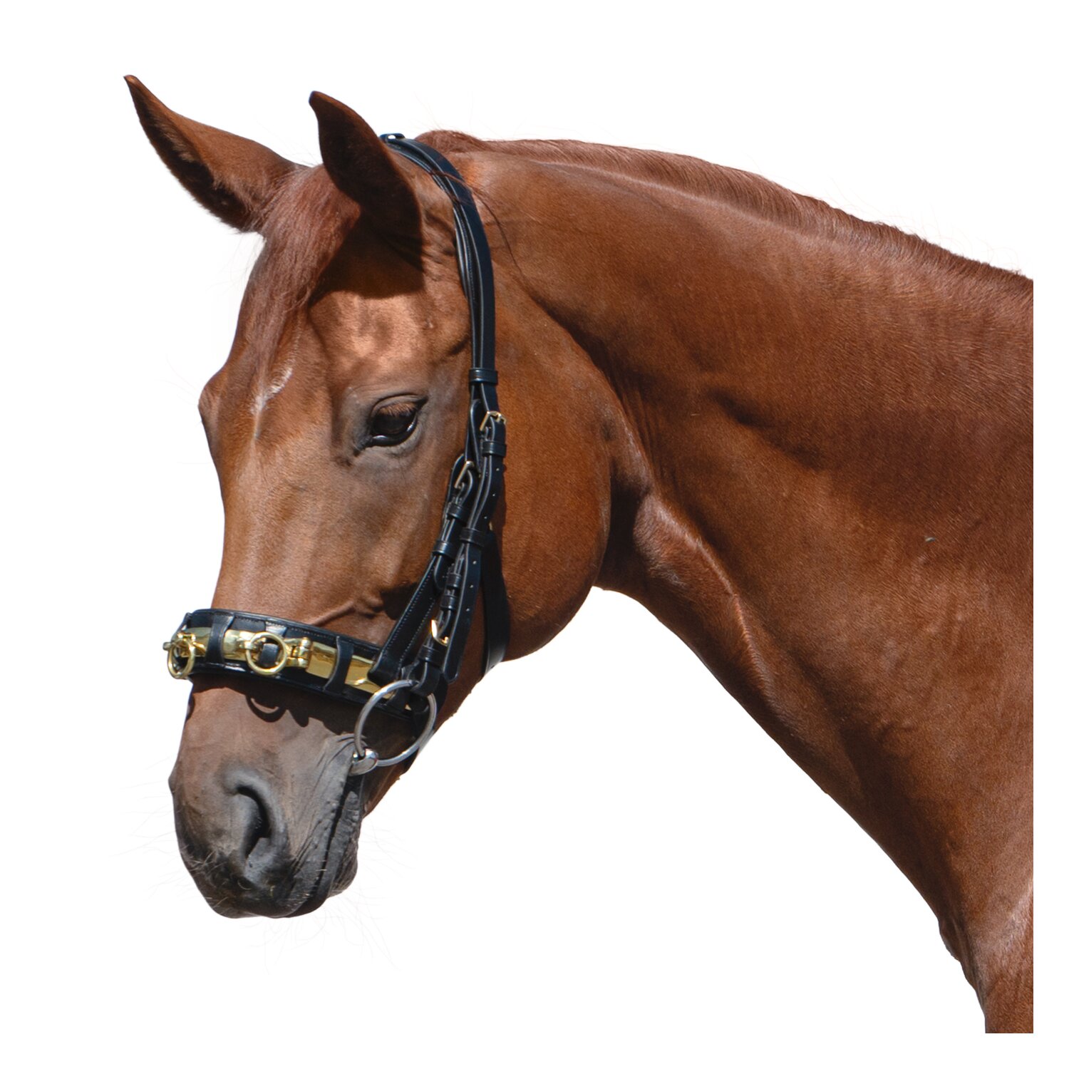 MONTIVUM Kappzaum – Ansicht 1