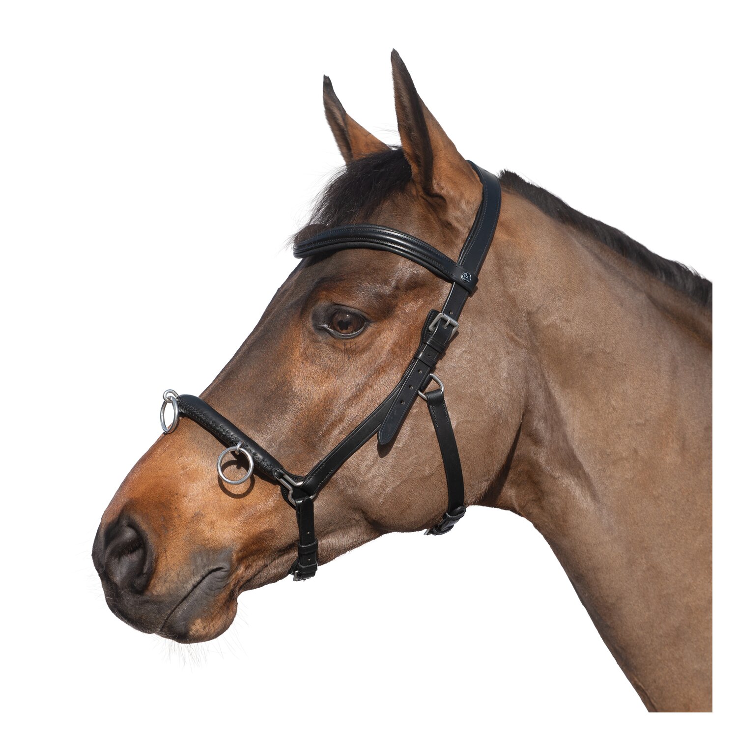 MONTIVUM Kappzaum – Ansicht 1