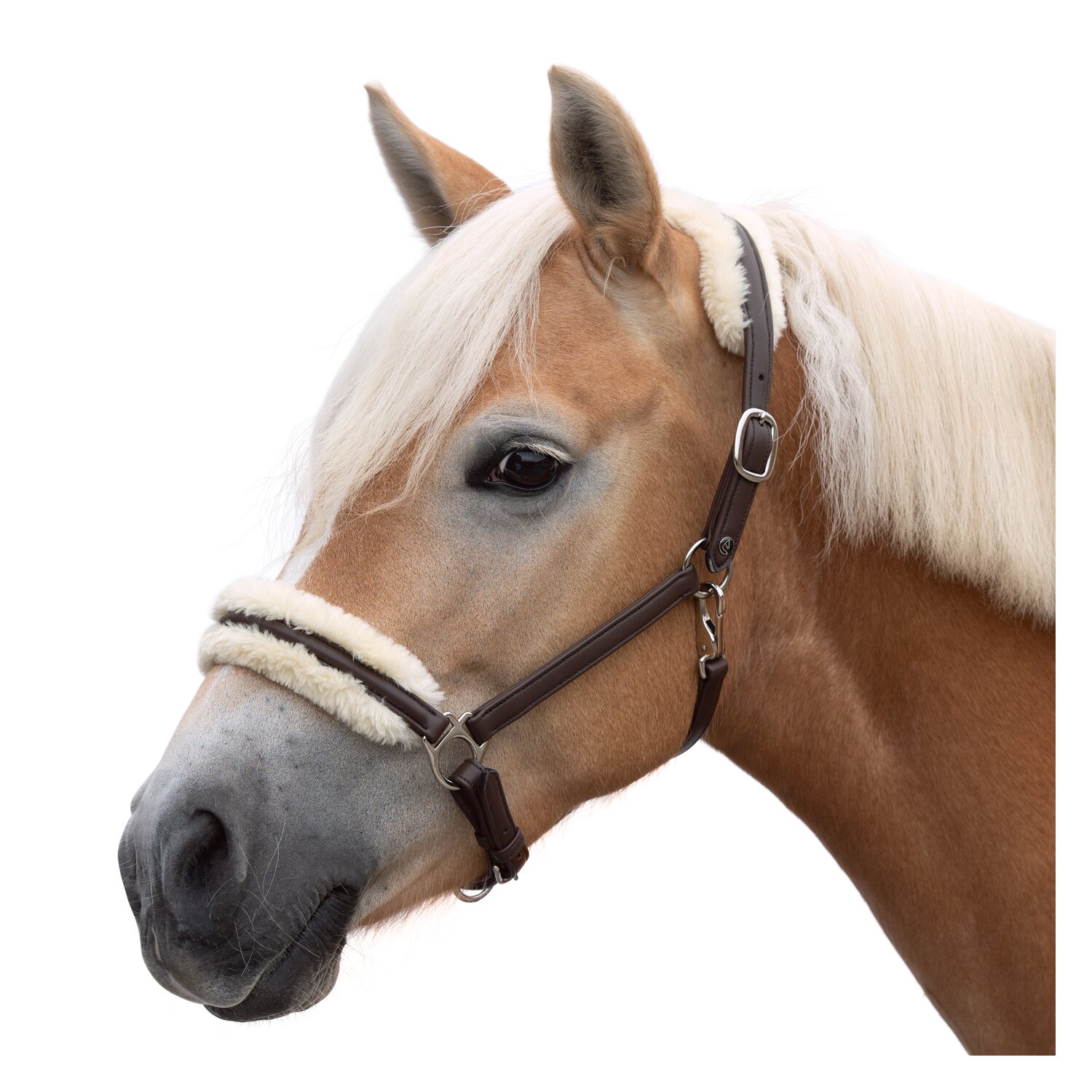 MONTIVUM Halfter – Ansicht 1