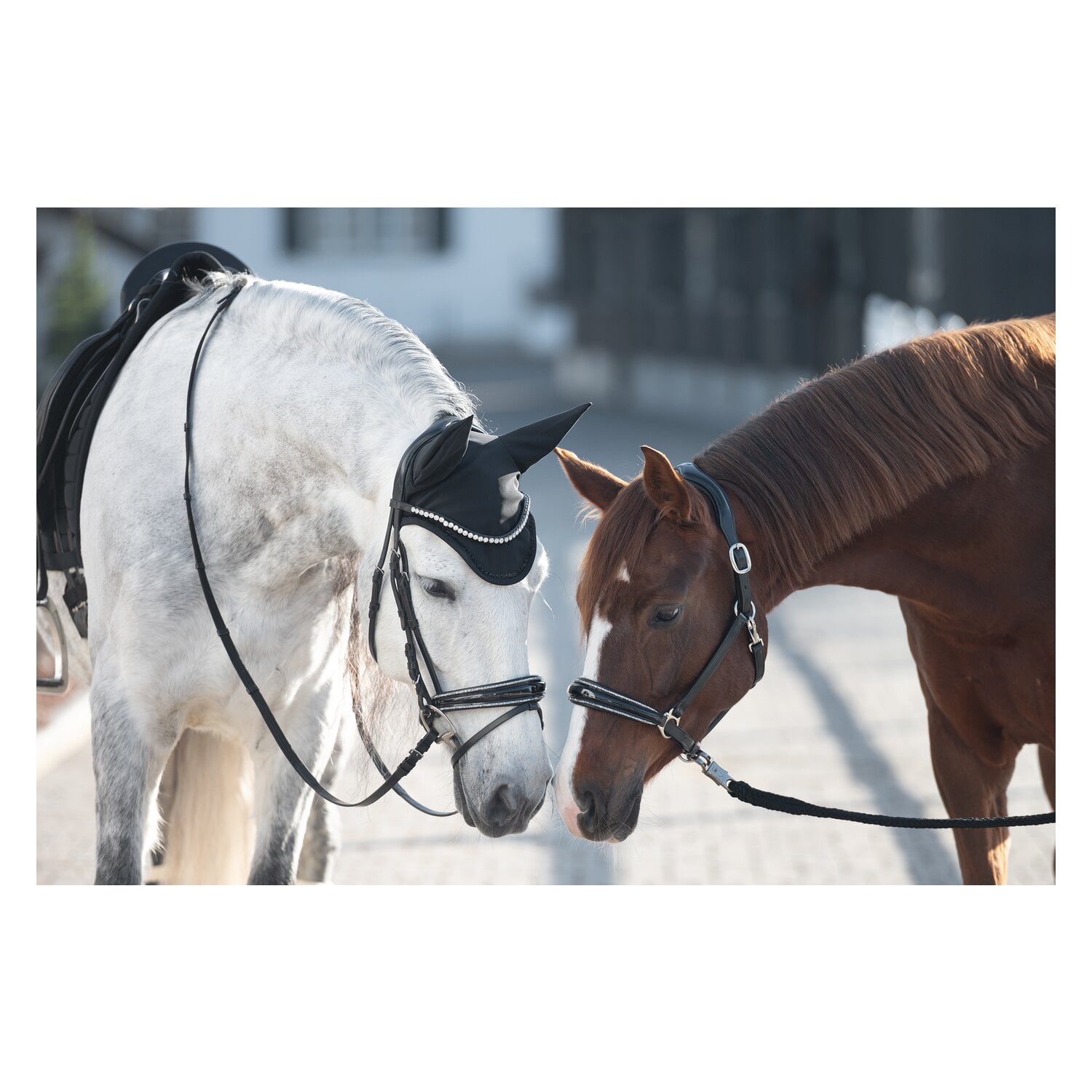 Cheval de Luxe Lederhalfter San Francisco &ndash; Ansicht 3