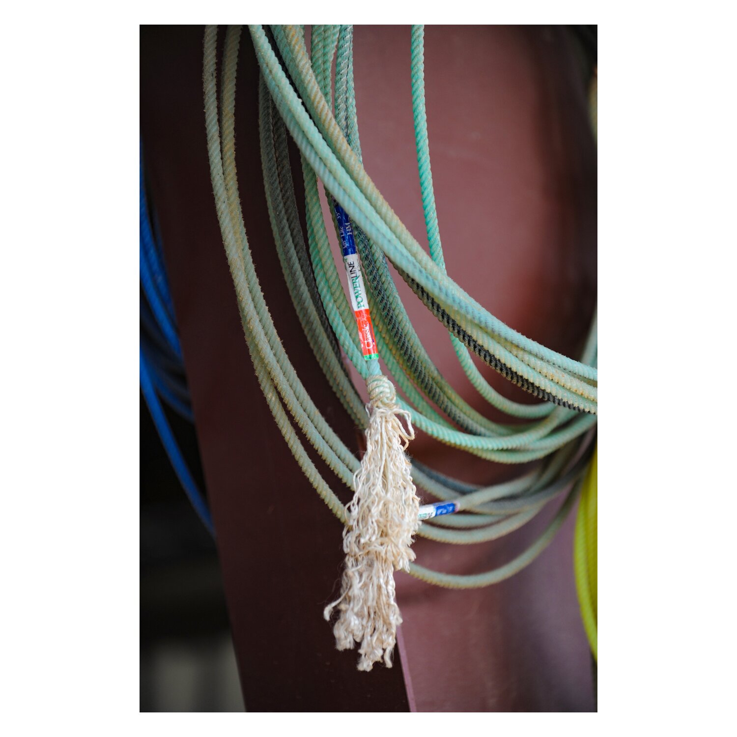 Classic Equine Powerline4 Lite Team Rope &ndash; Ansicht 5