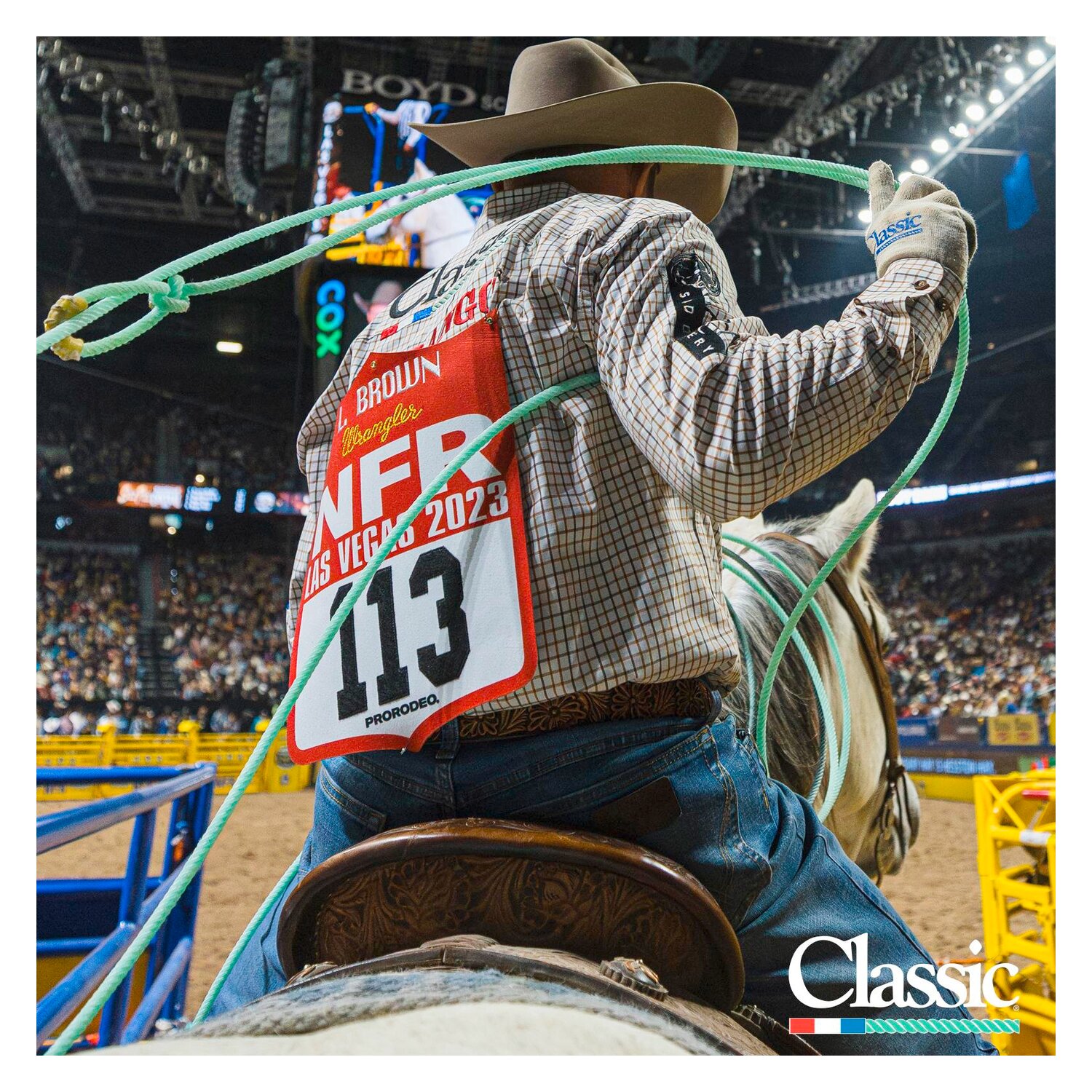 Classic Equine Powerline4 Lite Team Rope &ndash; Ansicht 3