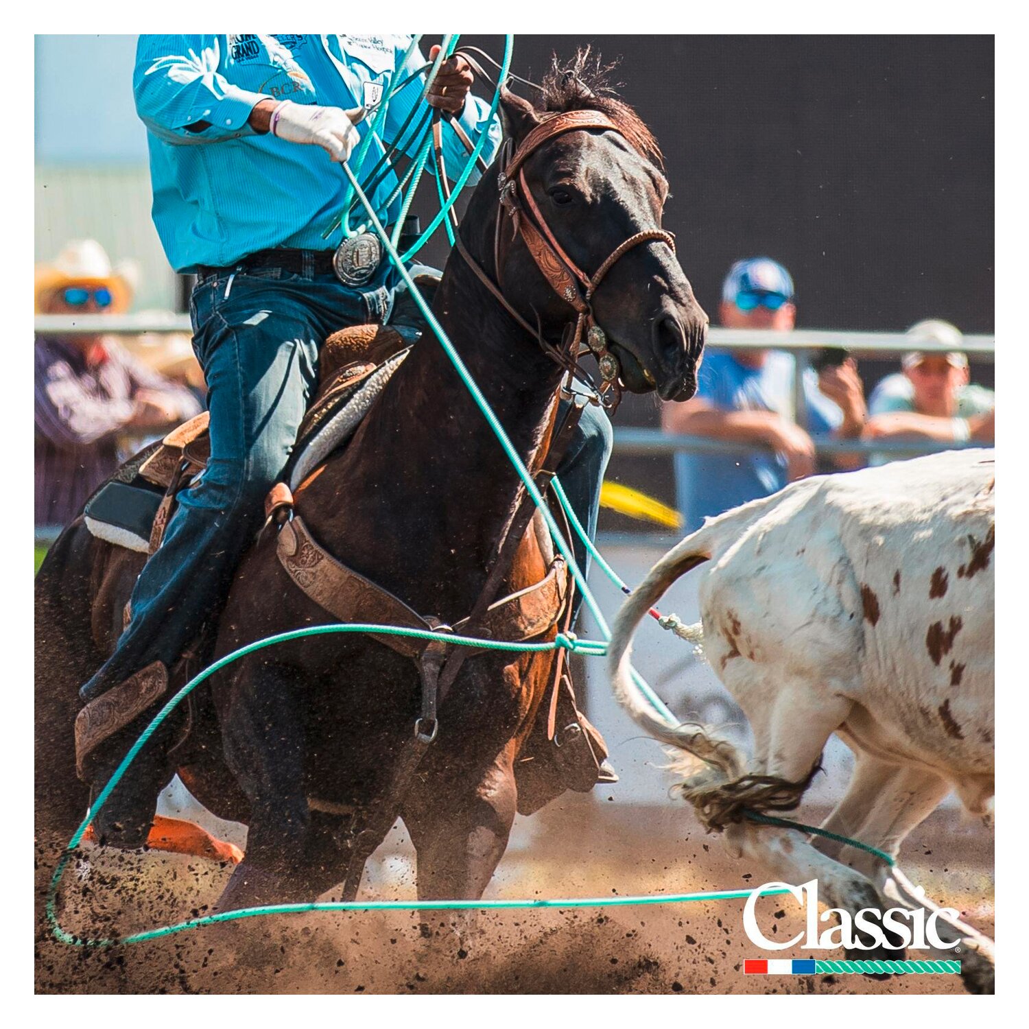 Classic Equine Powerline4 Lite Team Rope &ndash; Ansicht 4